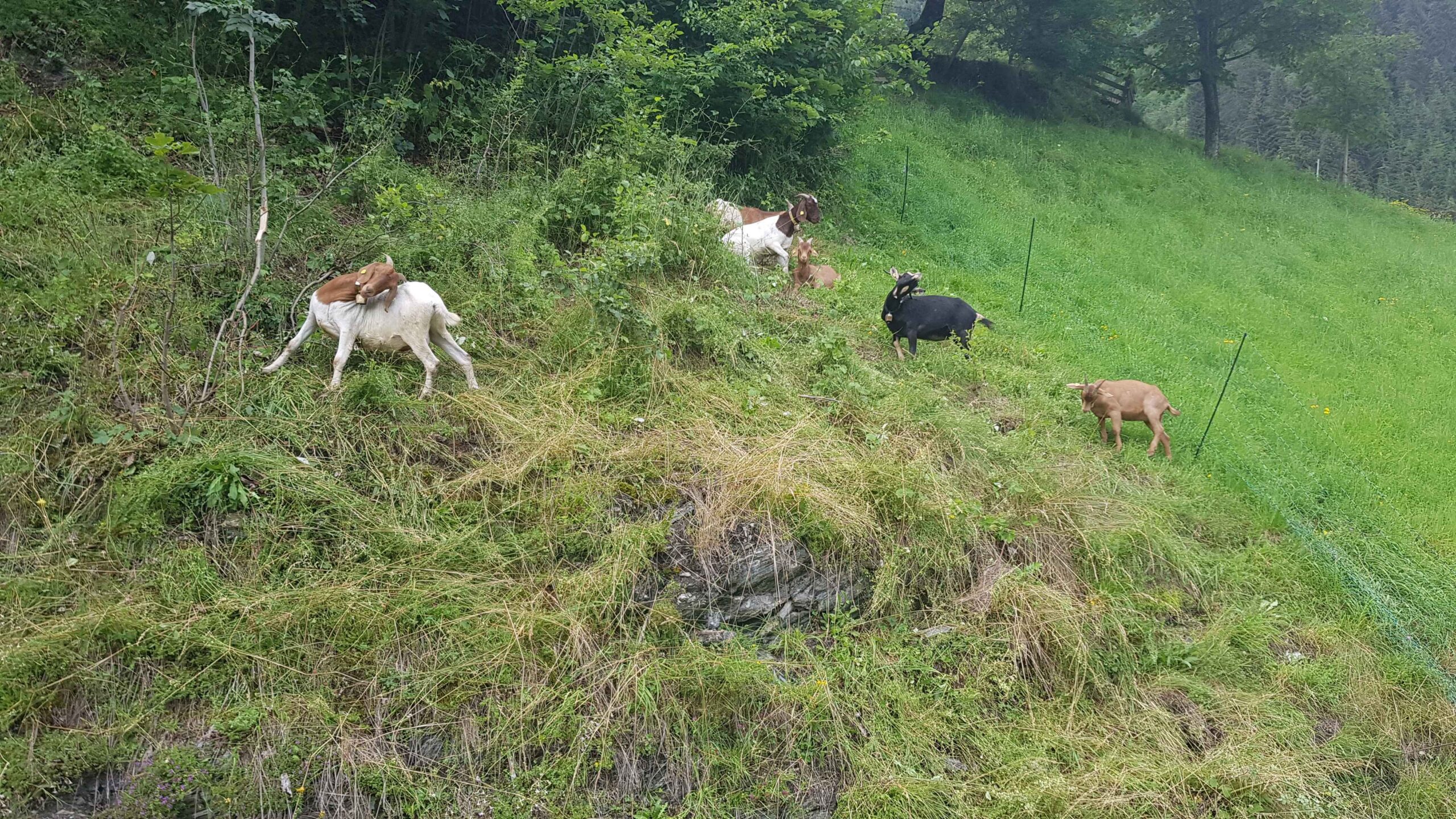 2020-Großarl-Tag1 (10)