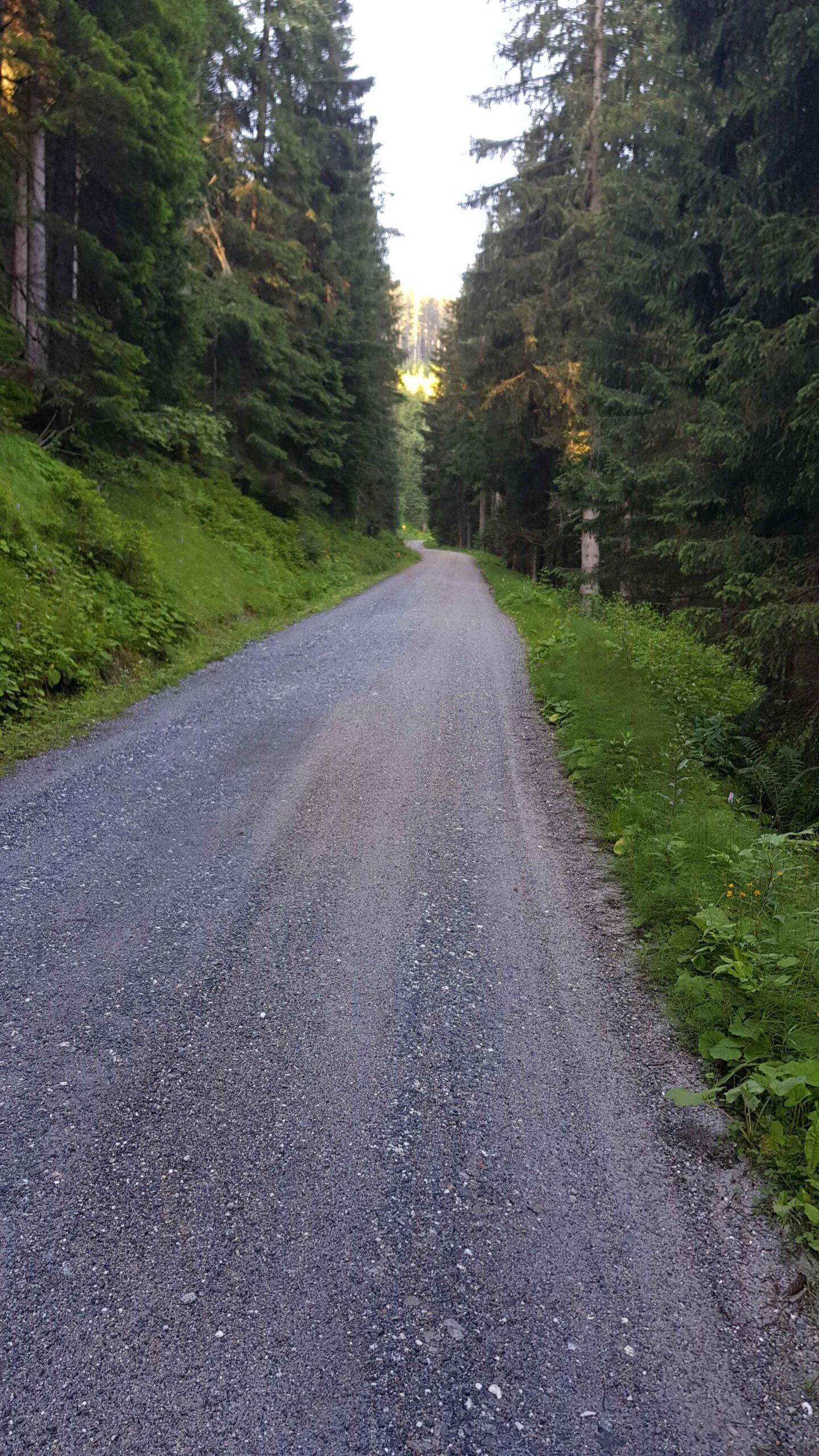 2020-Großarl-Tag2 (1)