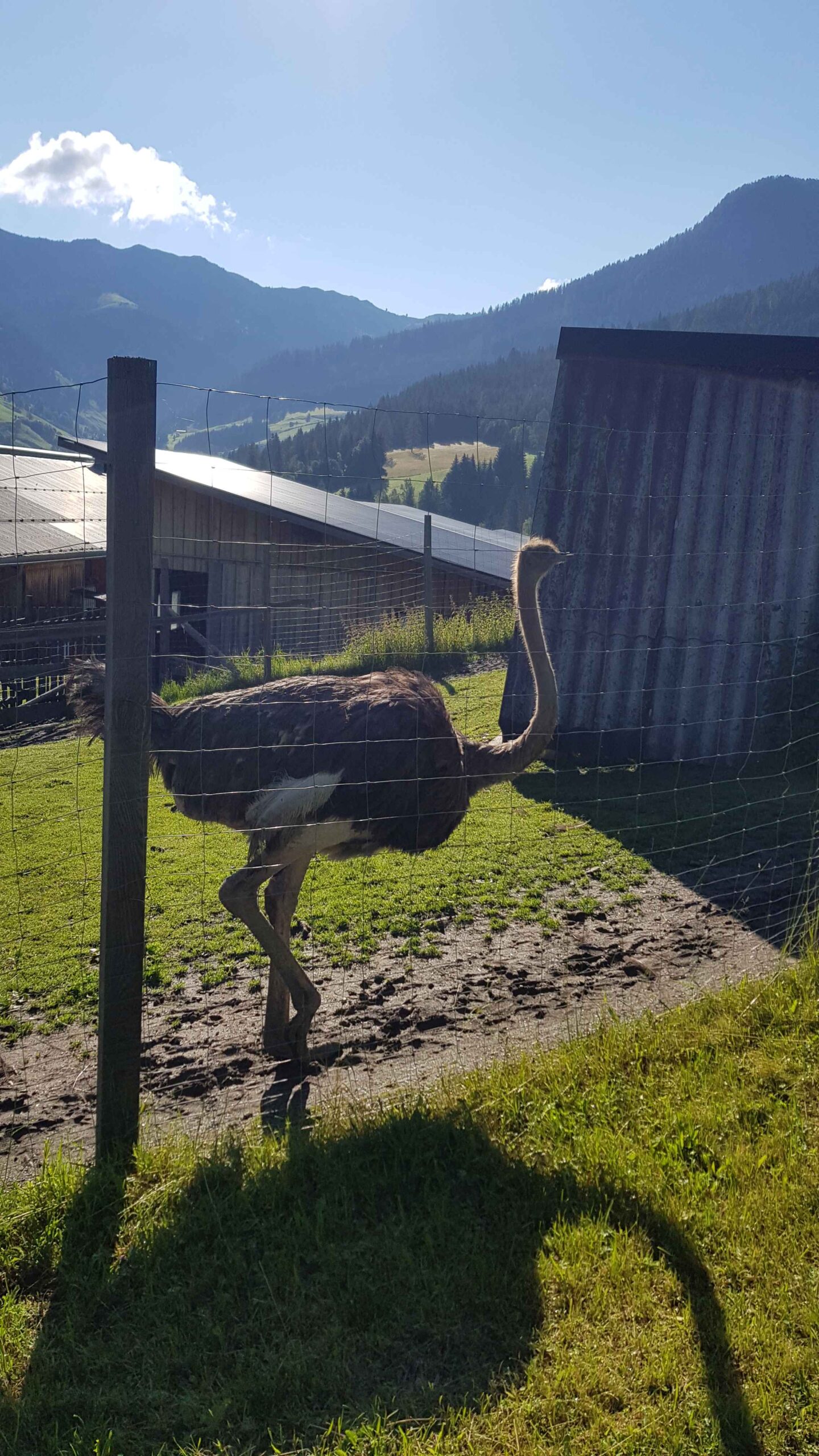 2020-Großarl-Tag2 (10)