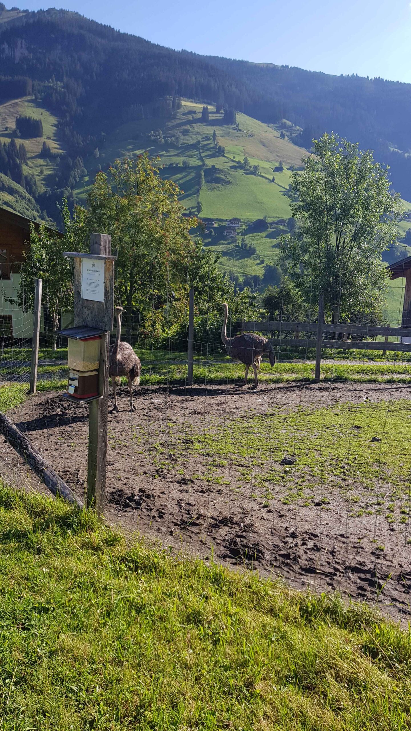 2020-Großarl-Tag2 (11)