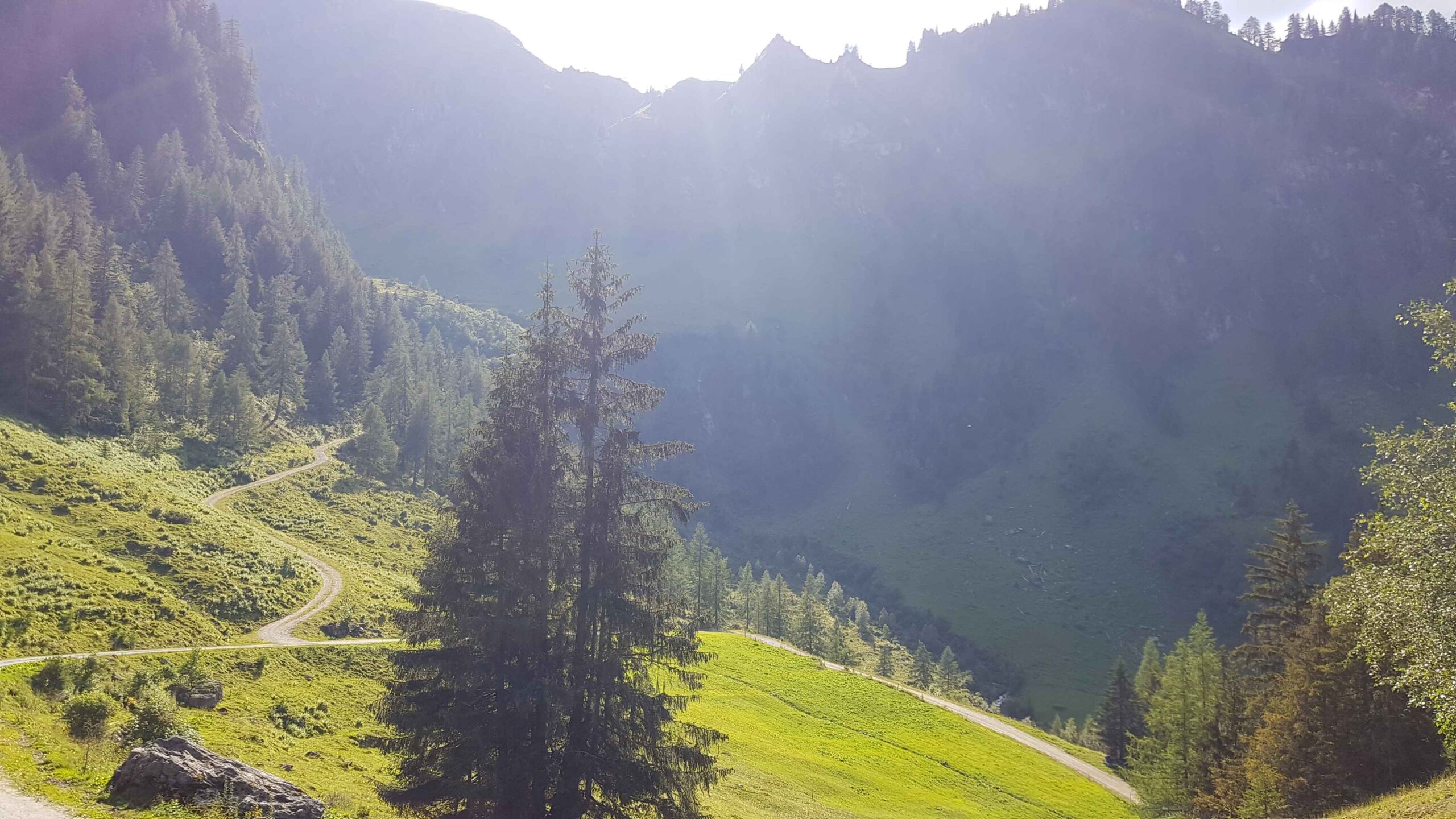 2020-Großarl-Tag5 (3)