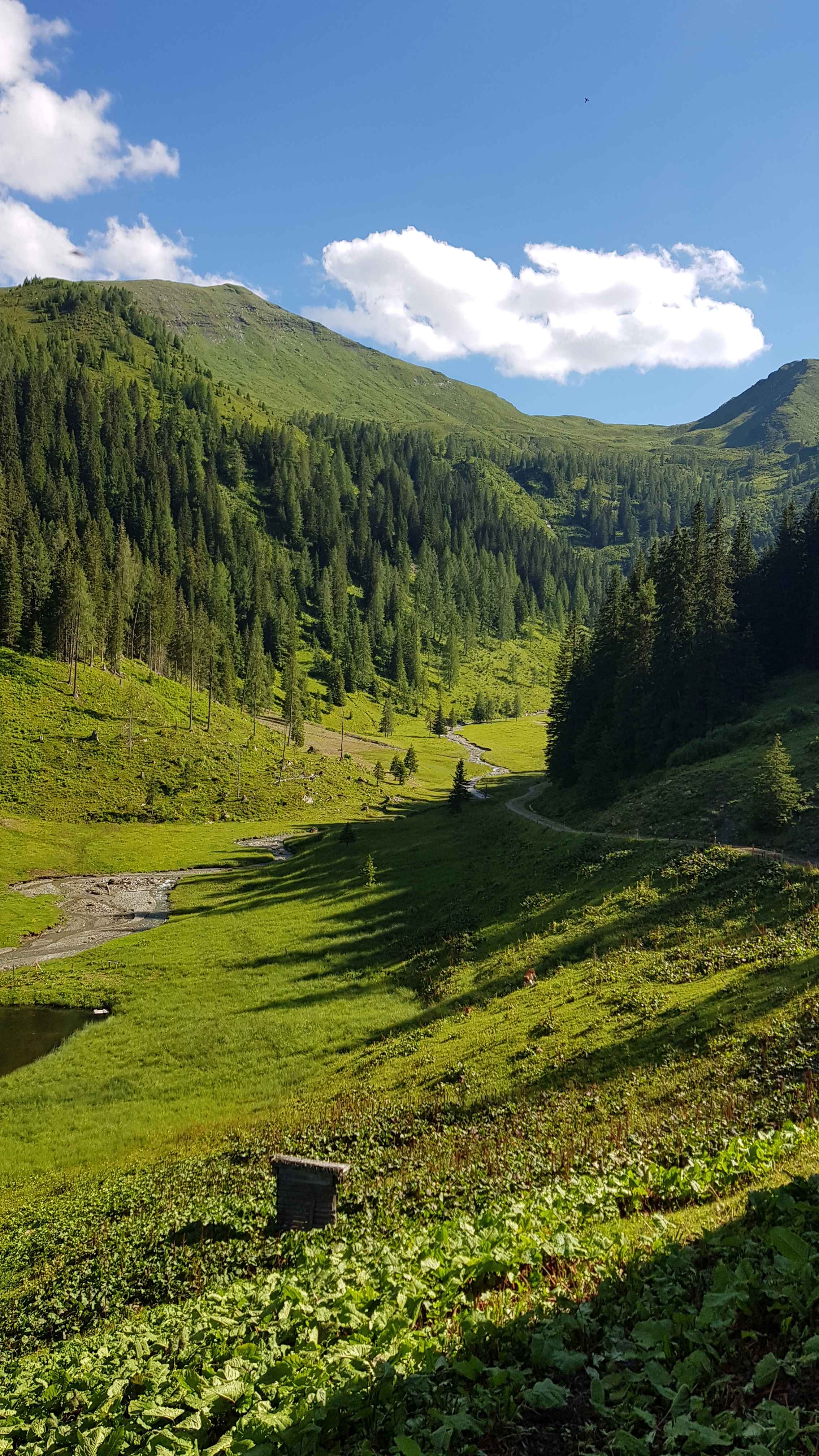 2020-Großarl-Tag7 (1)