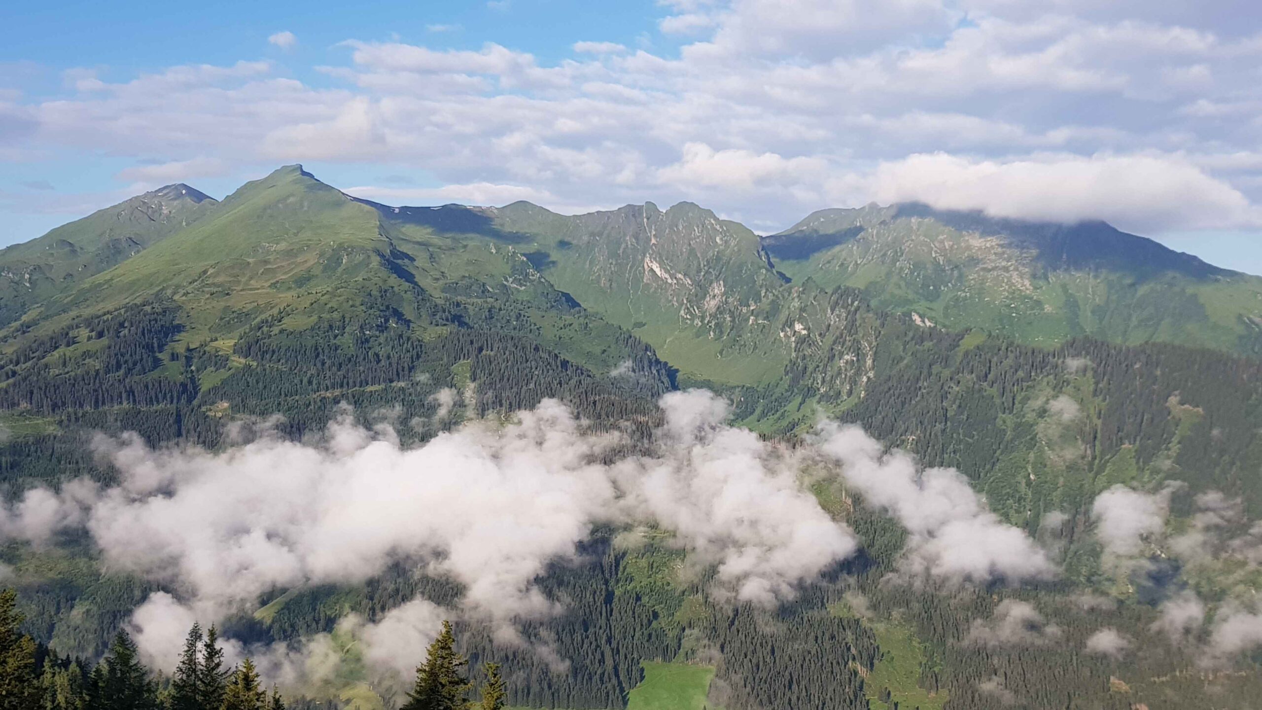 2020-Großarl-Tag81 (3)