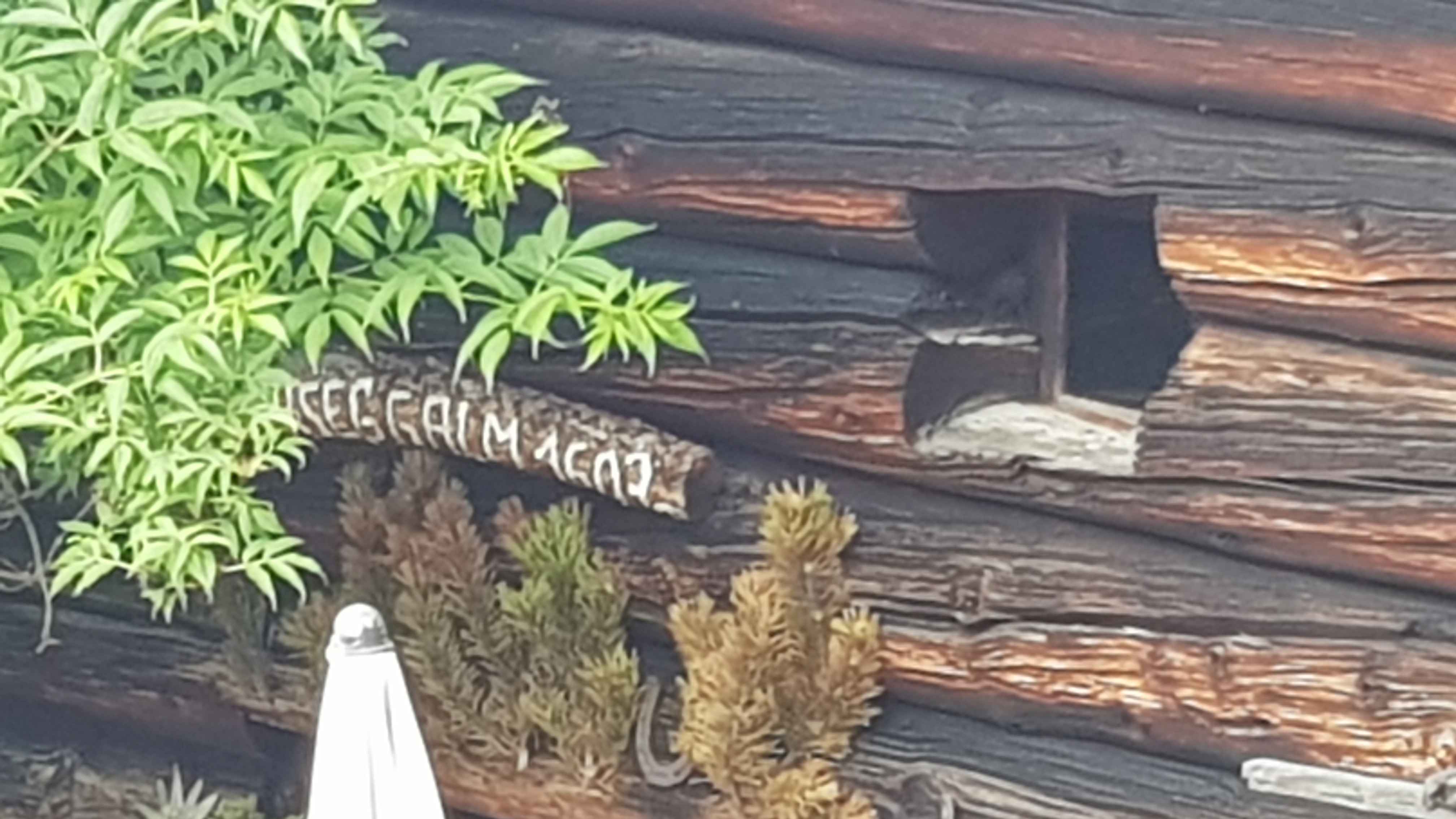 2020-Großarl-Tag82 (4)