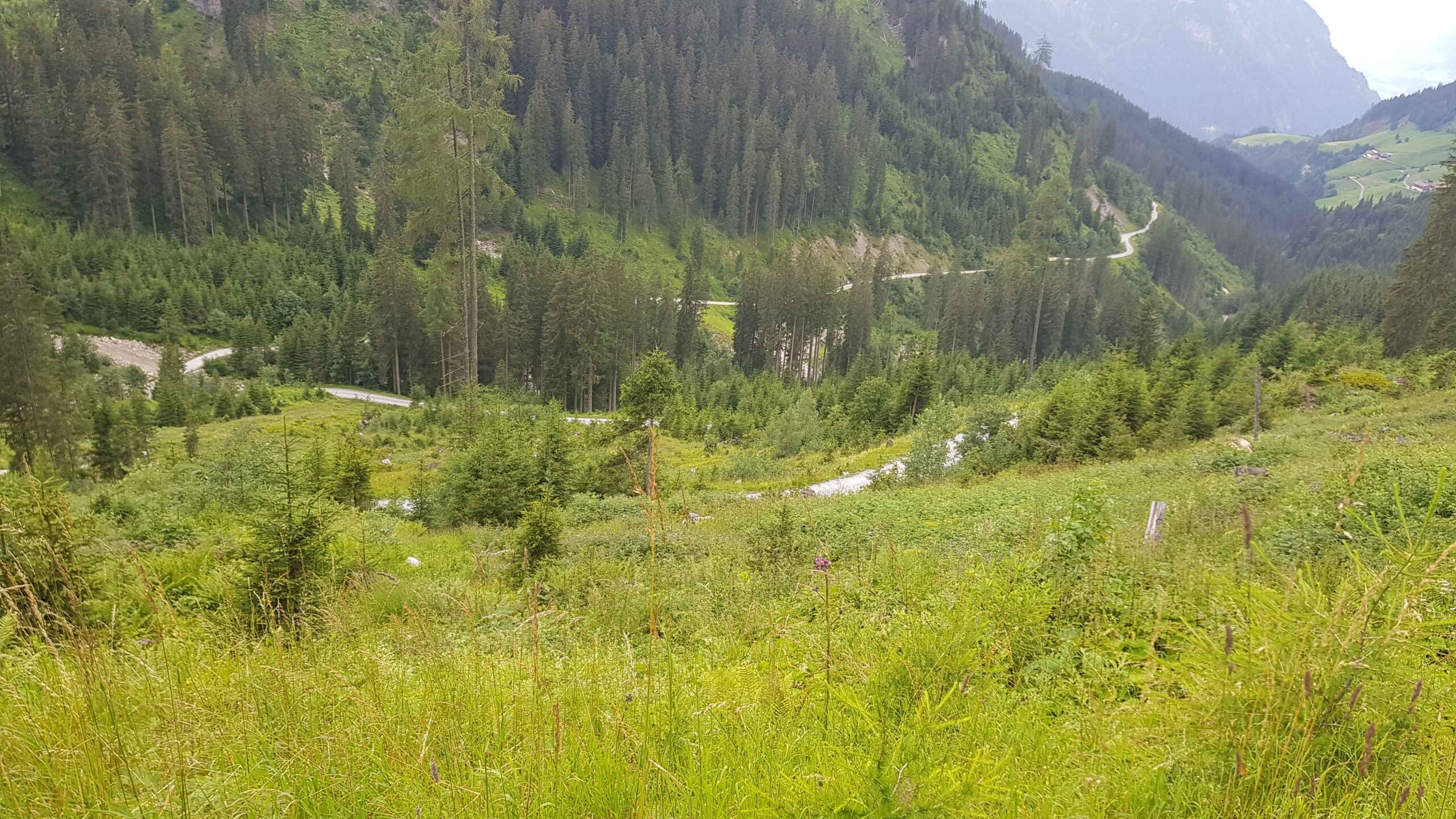 2020-Großarl-Tag82 (6)