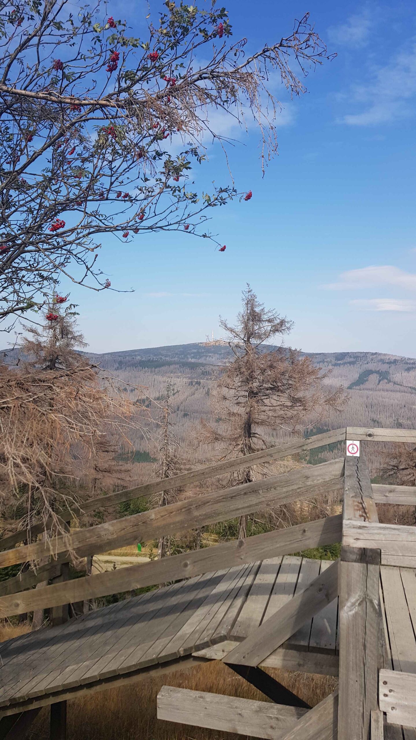 2020-Touren-Harz (15)