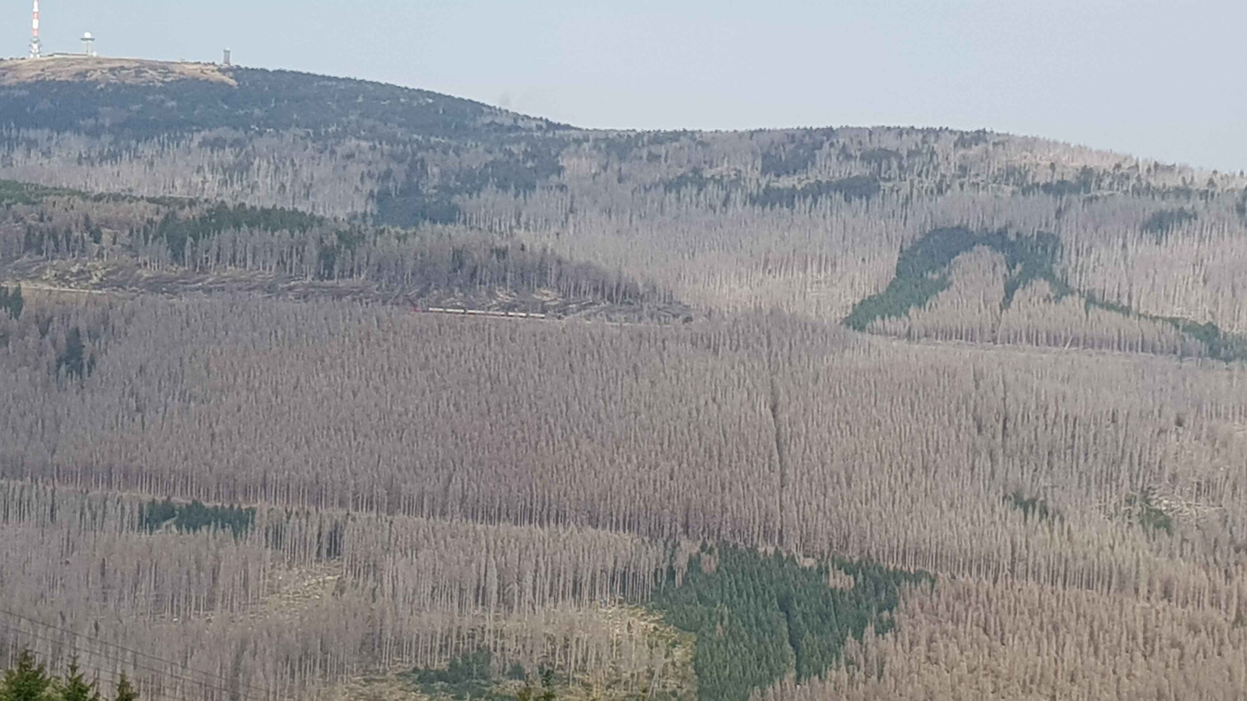 2020-Touren-Harz (16)