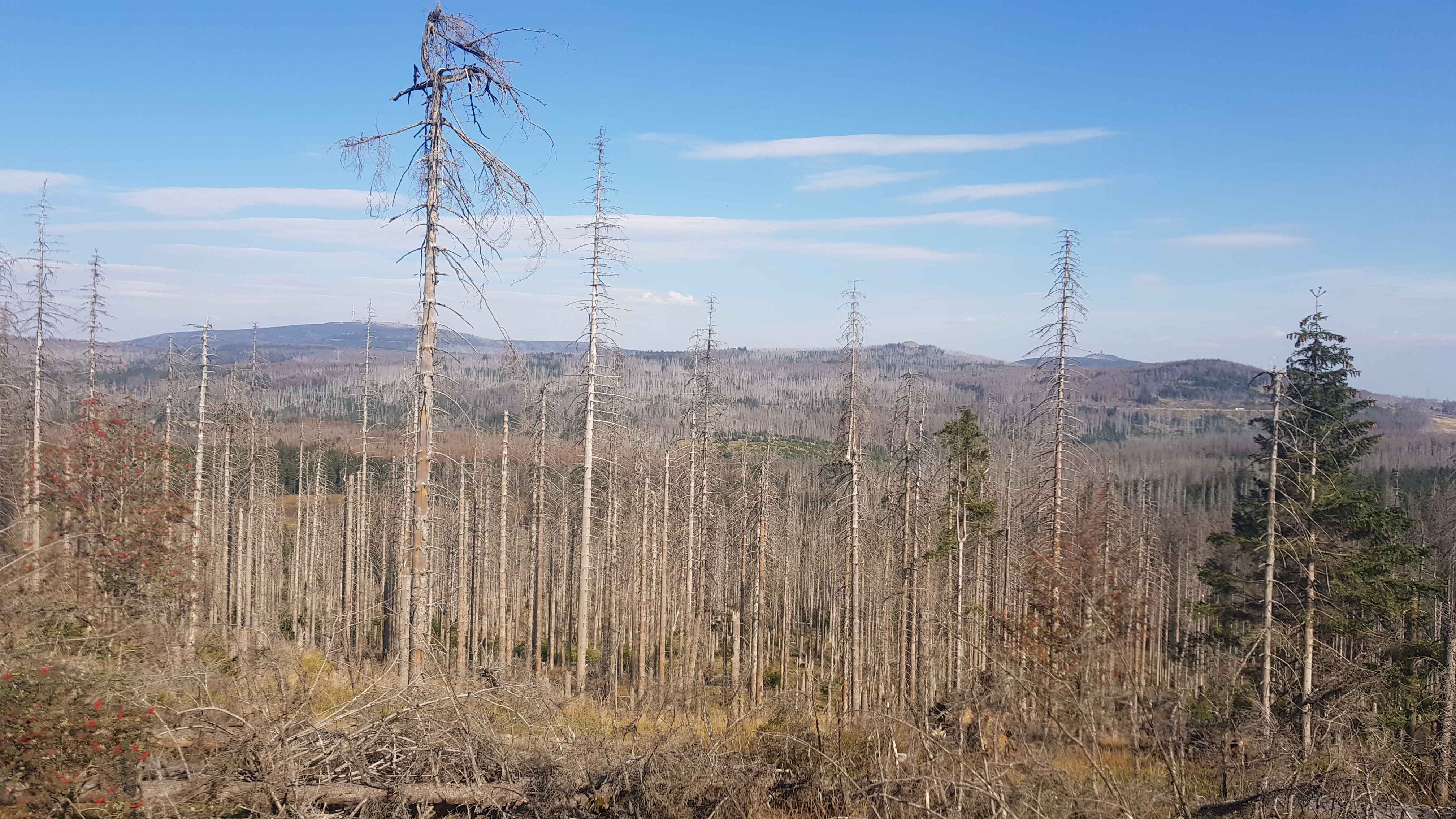2020-Touren-Harz (27)