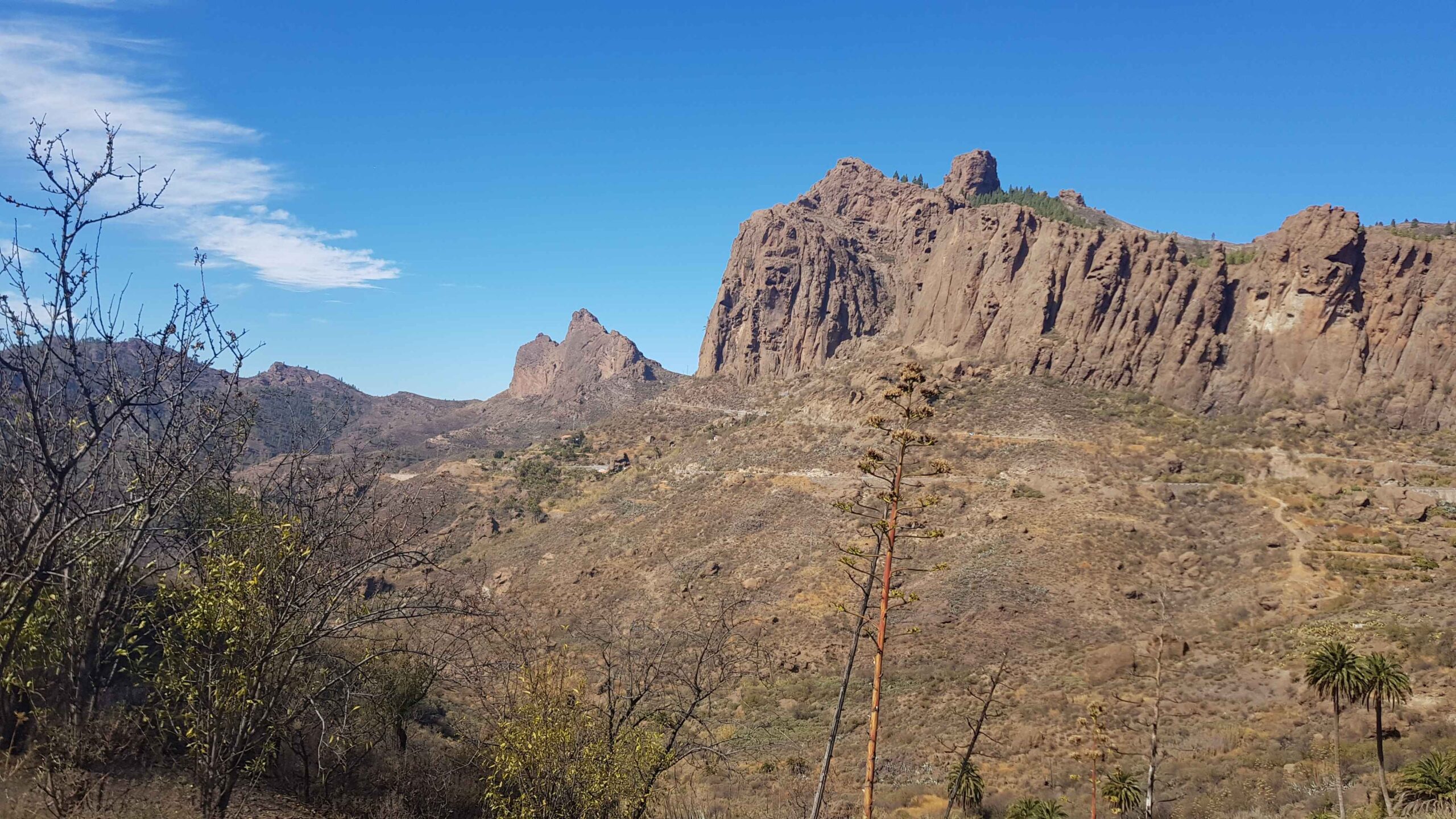 2021-GranCanaria-Tag1 (21)