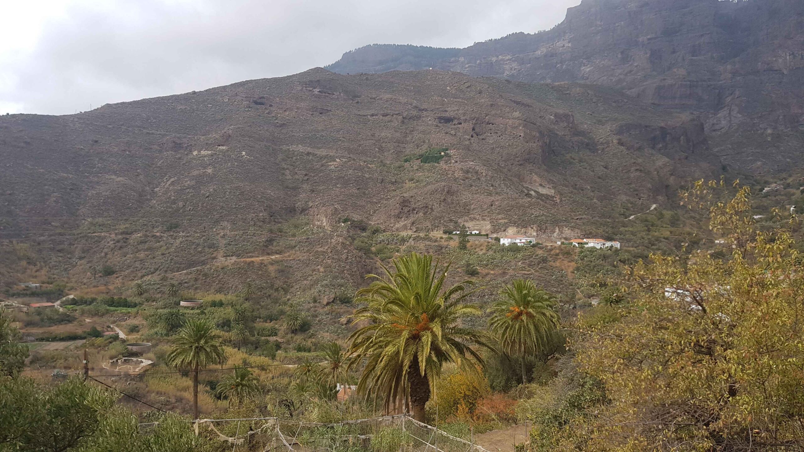 2021-GranCanaria-Tag2 (17)