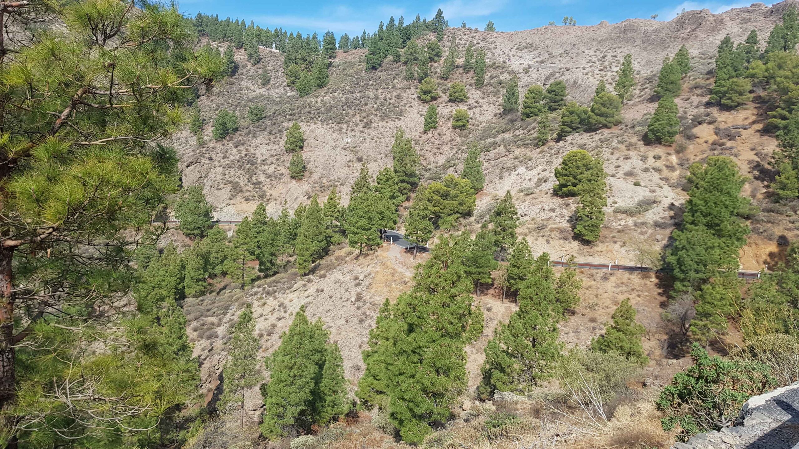 2021-GranCanaria-Tag4 (12)