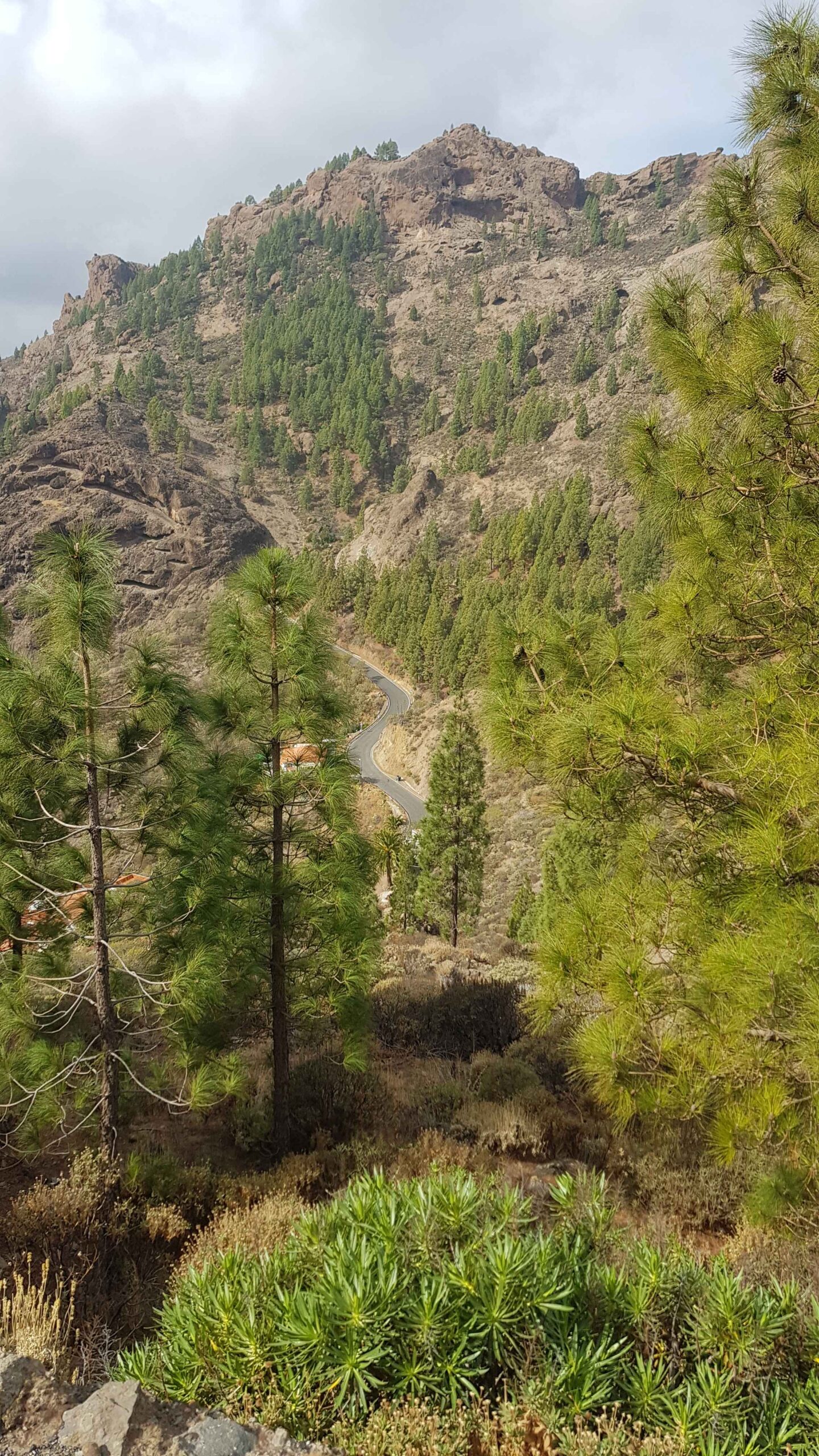 2021-GranCanaria-Tag4 (13)