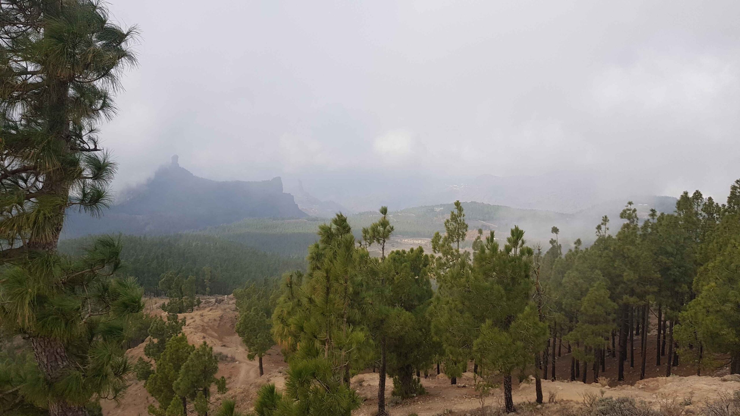 2021-GranCanaria-Tag4 (22)