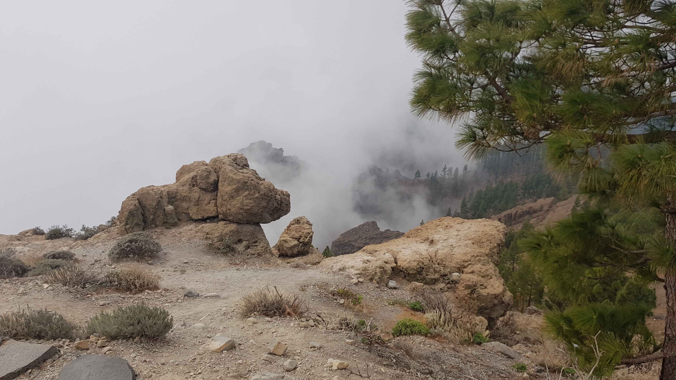 2021-GranCanaria-Tag4 (23)