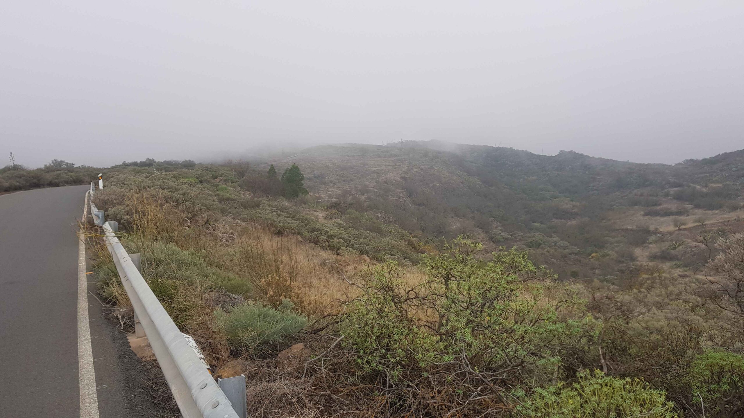 2021-GranCanaria-Tag4 (25)