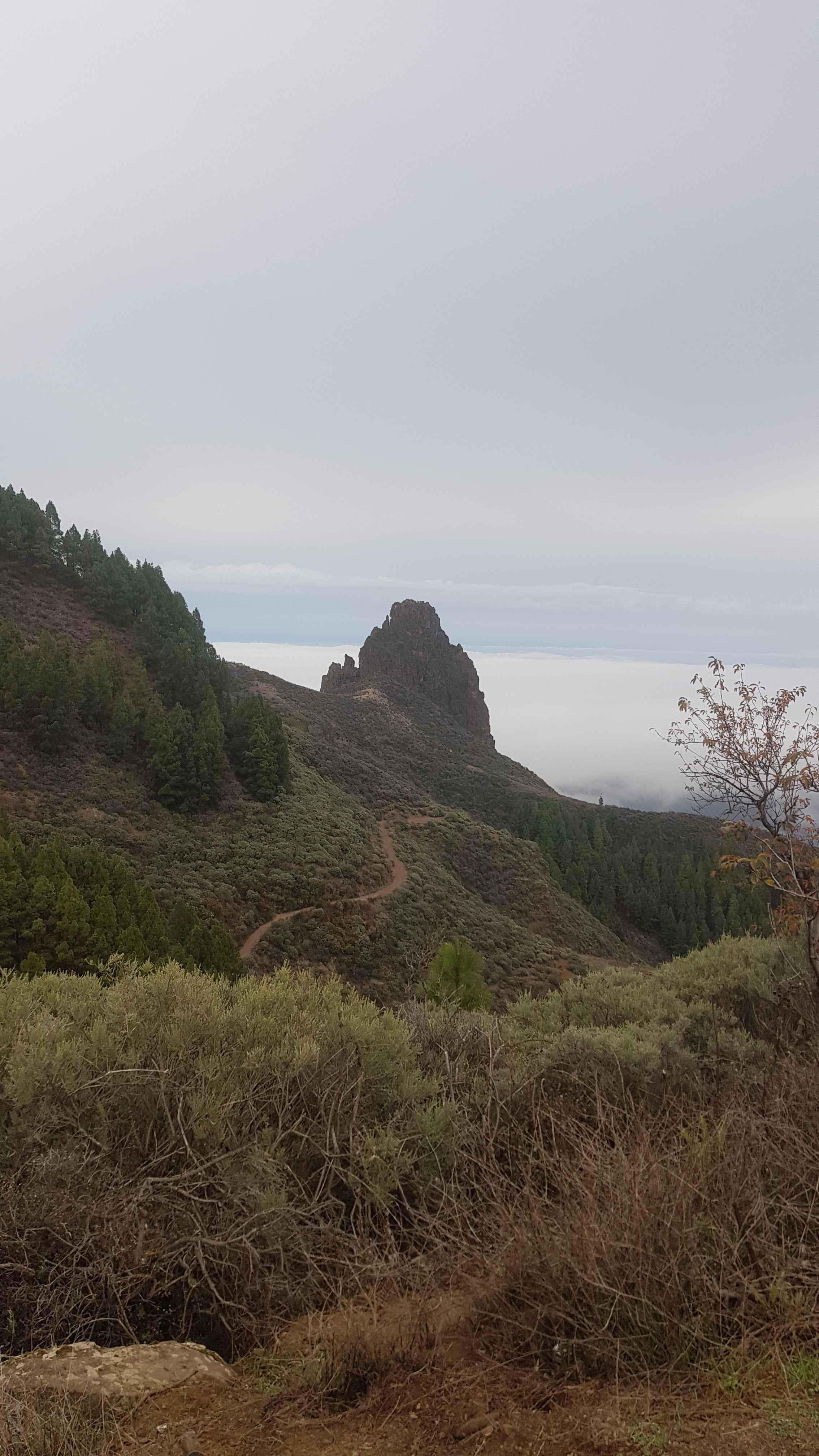 2021-GranCanaria-Tag5 (13)