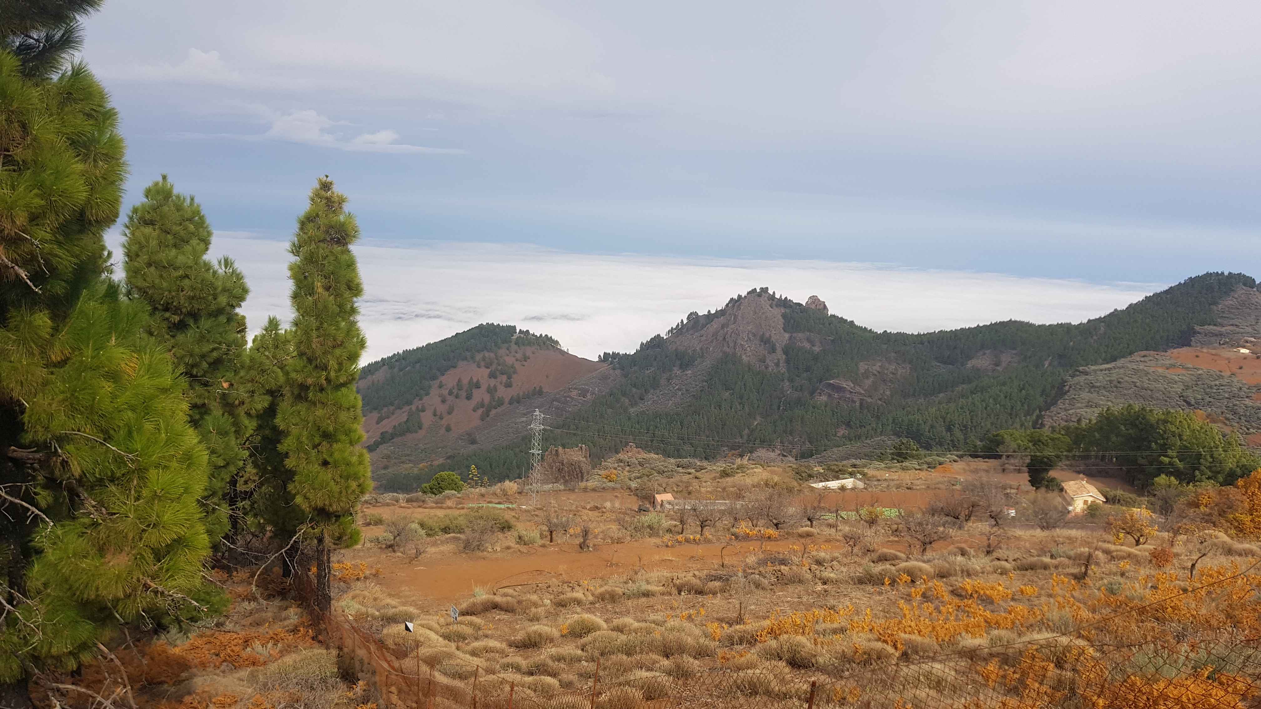 2021-GranCanaria-Tag5 (17)