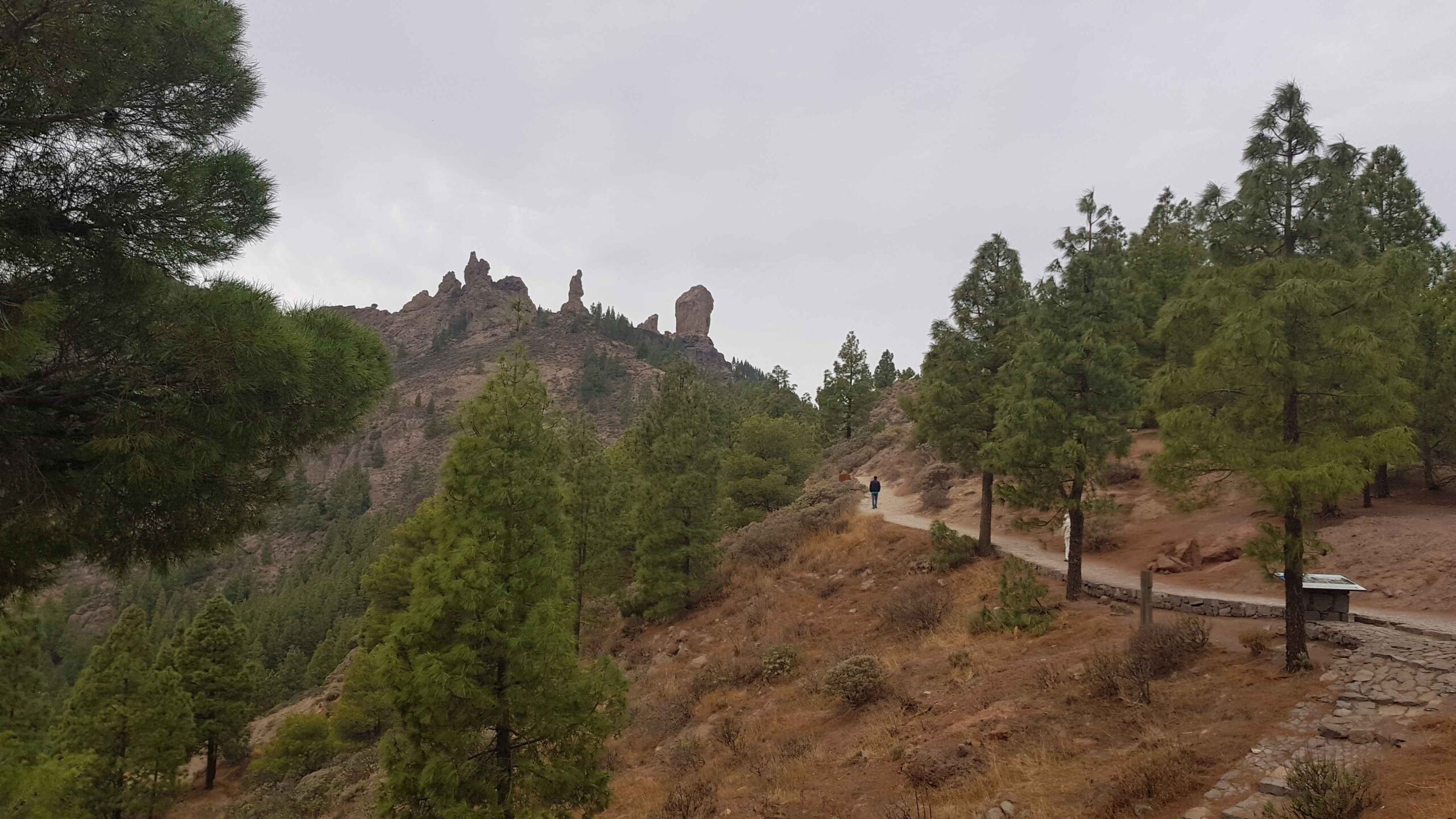 2021-GranCanaria-Tag5 (26)