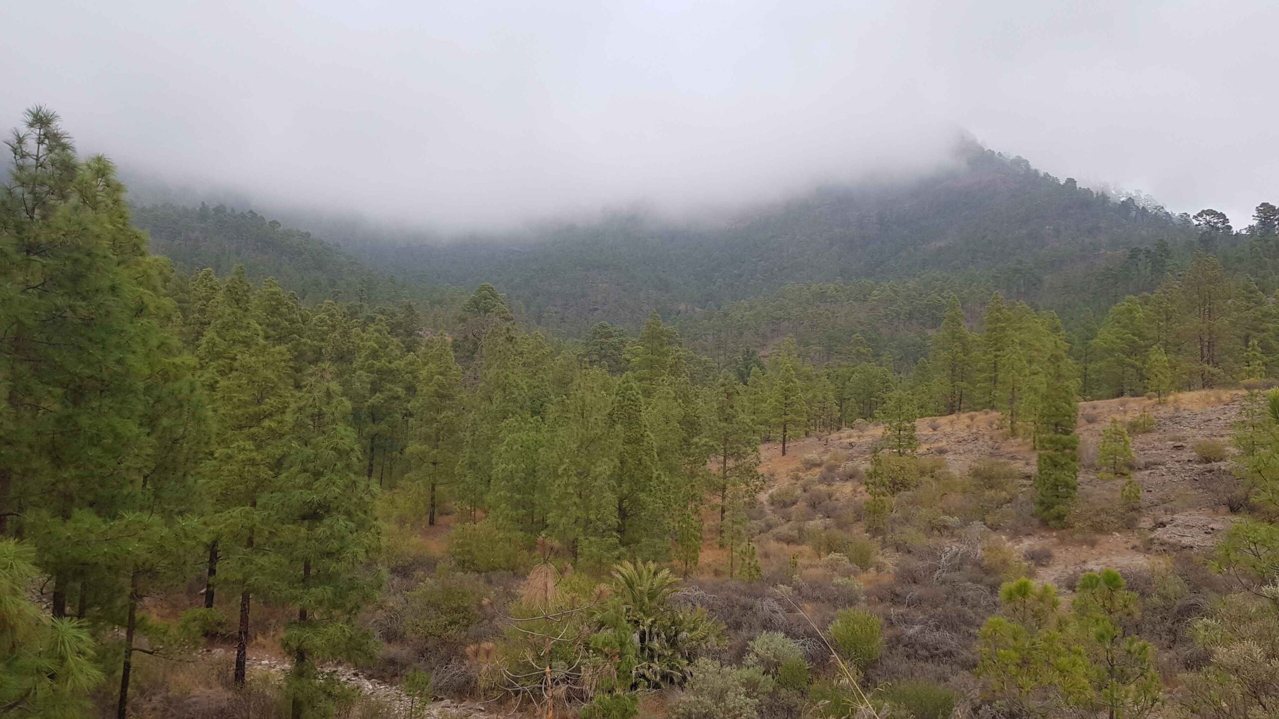 2021-GranCanaria-Tag5 (29)