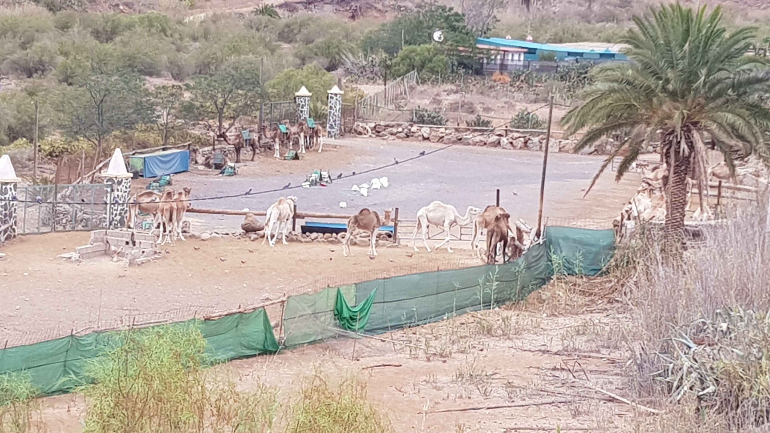 2021-GranCanaria-Tag5 (3)