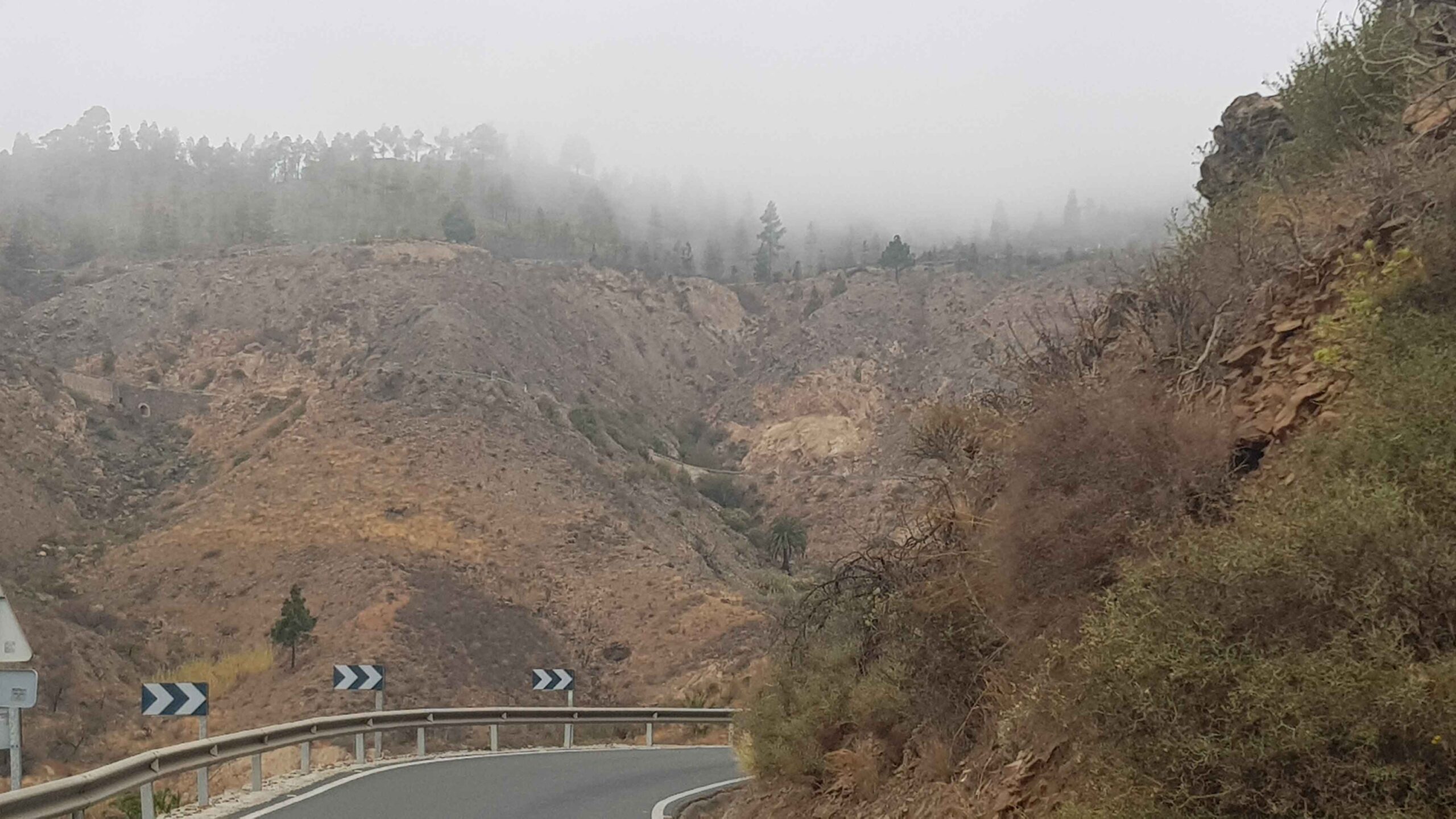 2021-GranCanaria-Tag5 (4)