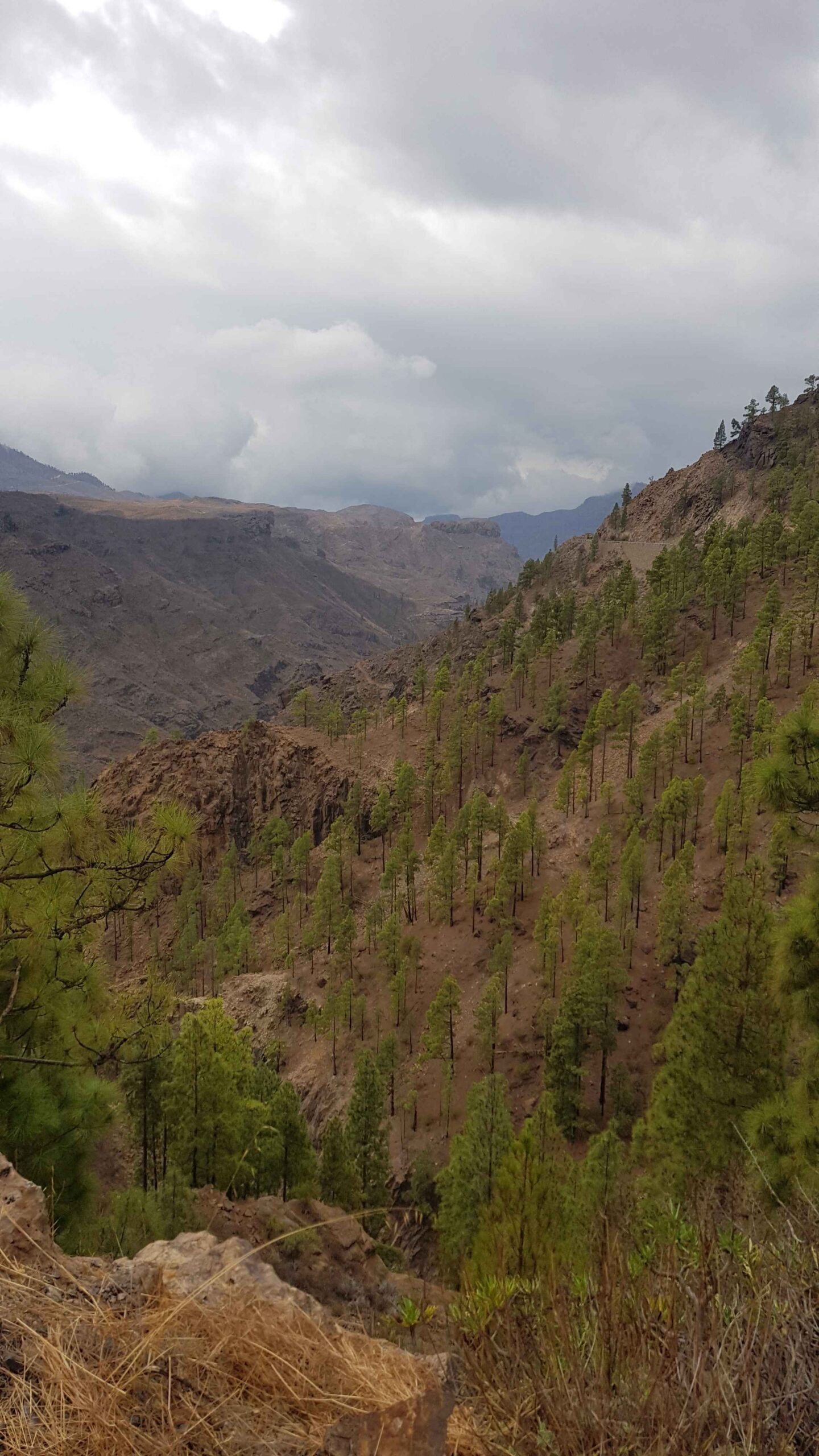2021-GranCanaria-Tag6 (20)