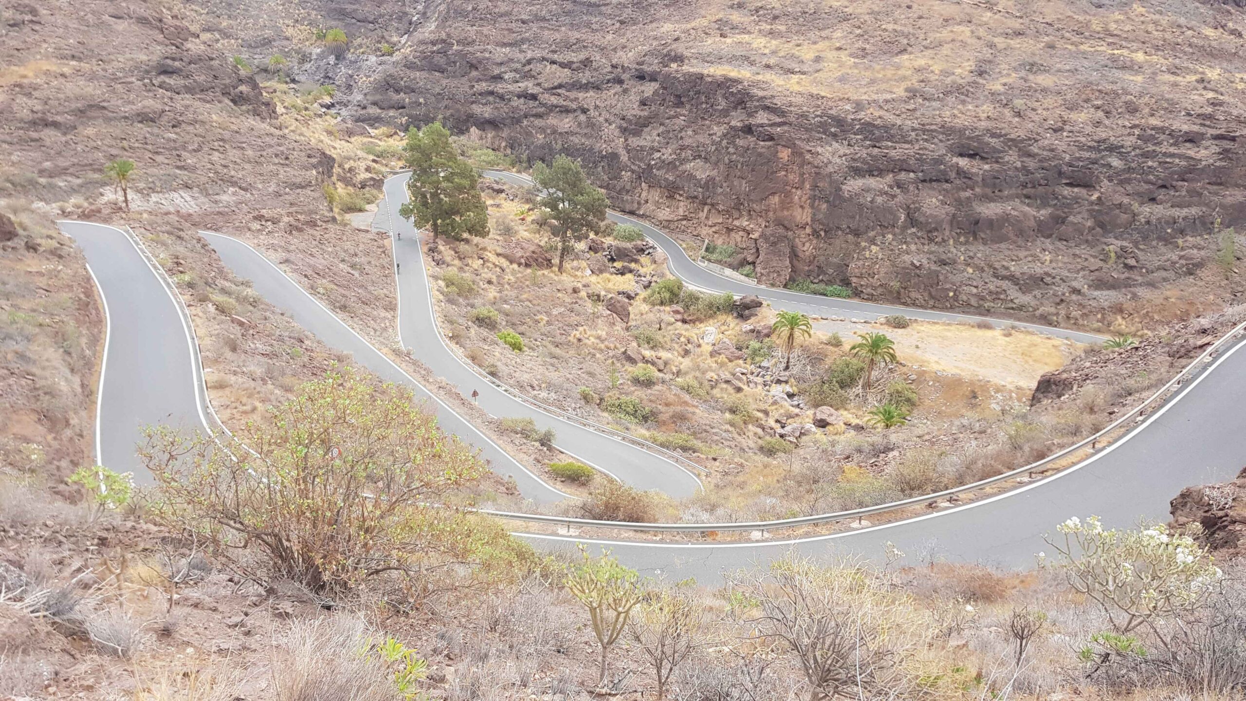 2021-GranCanaria-Tag6 (9)