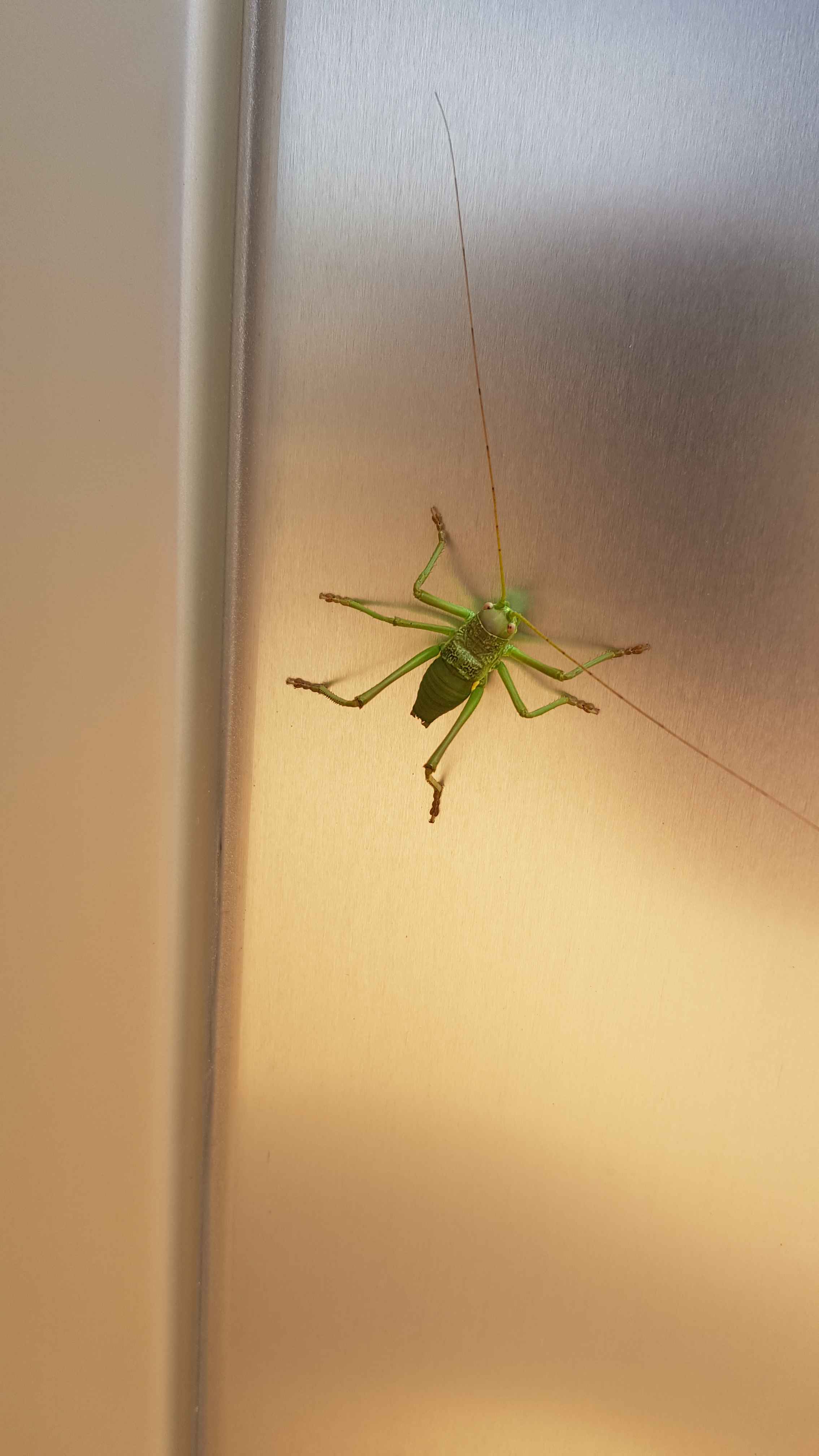 2022-Mallorca-Abreise (4)