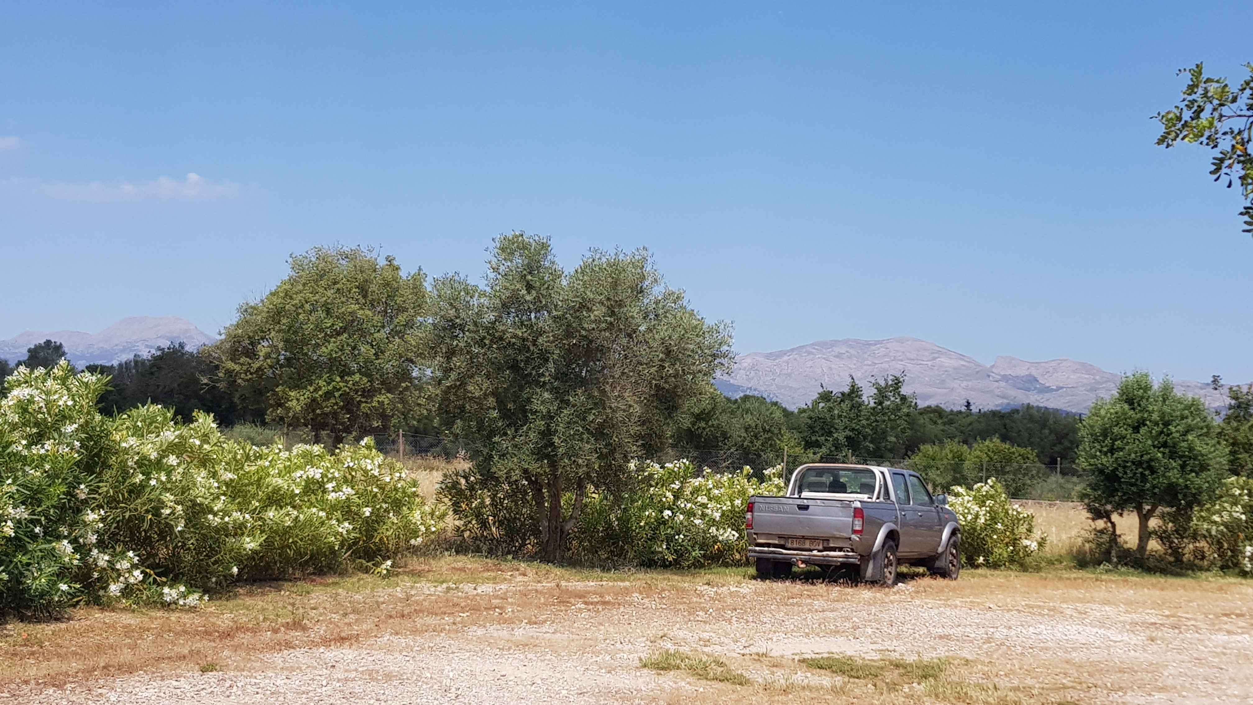 2022-Mallorca-Abreise (5)