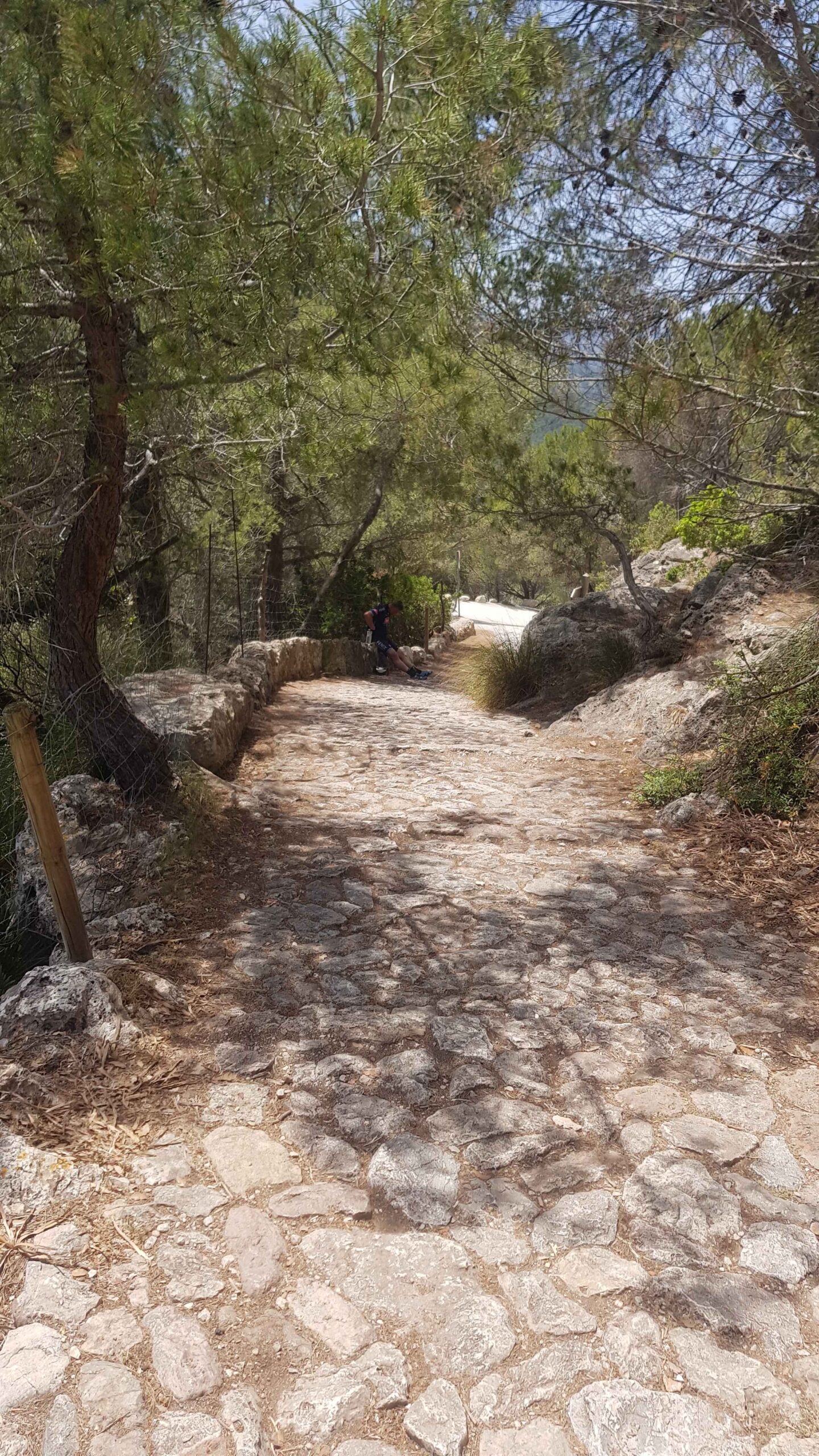 2022-Mallorca-Tag1 (33)