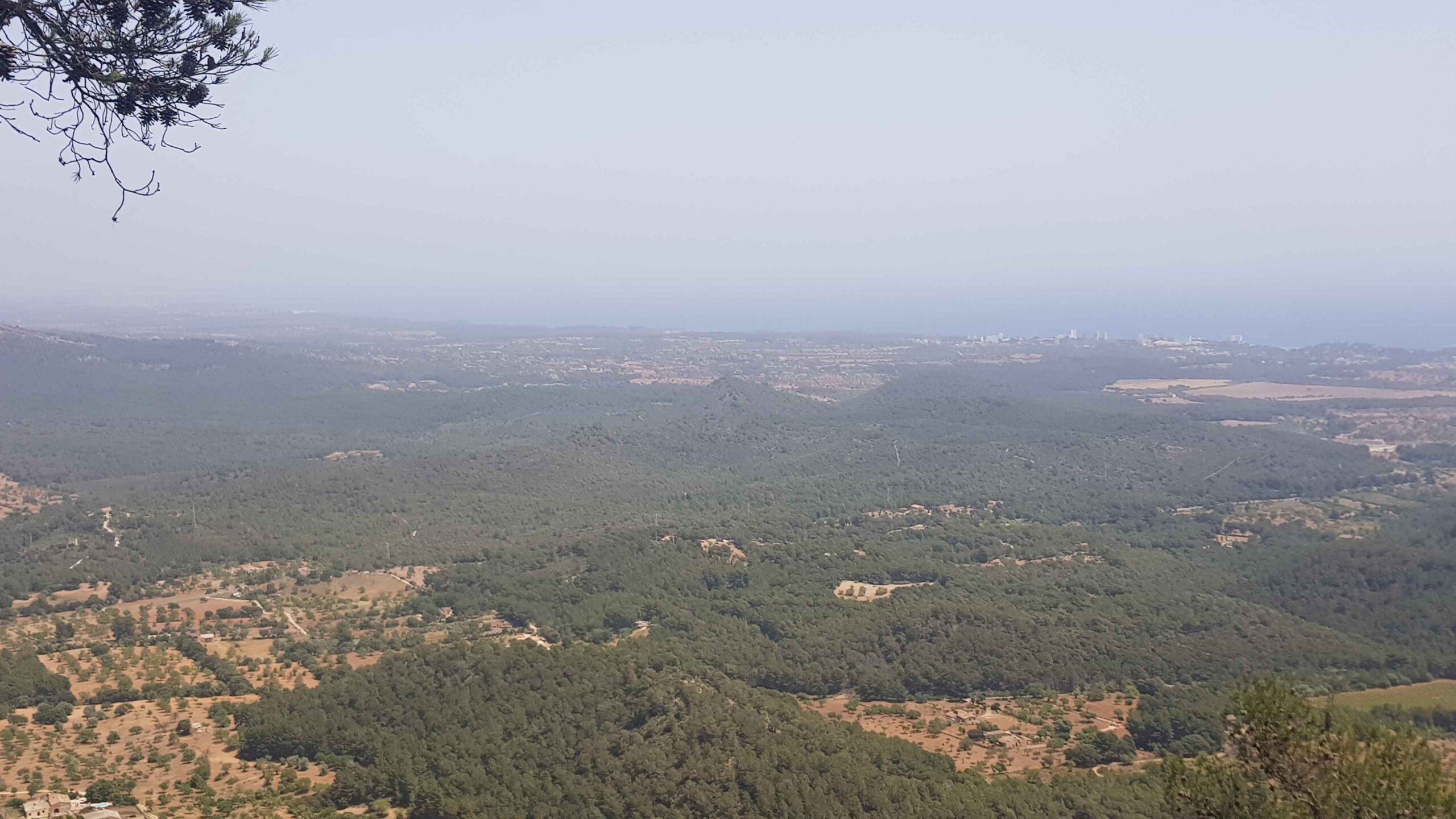 2022-Mallorca-Tag2 (13)