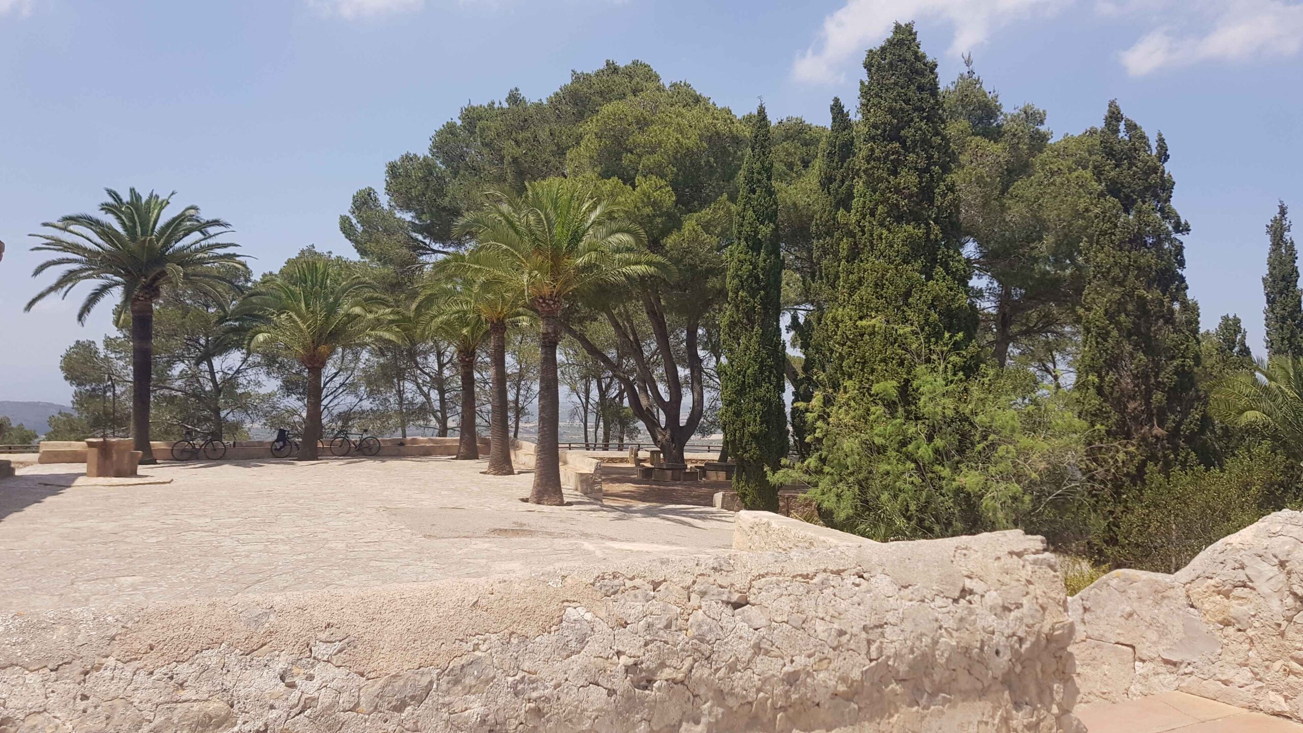 2022-Mallorca-Tag2 (24)