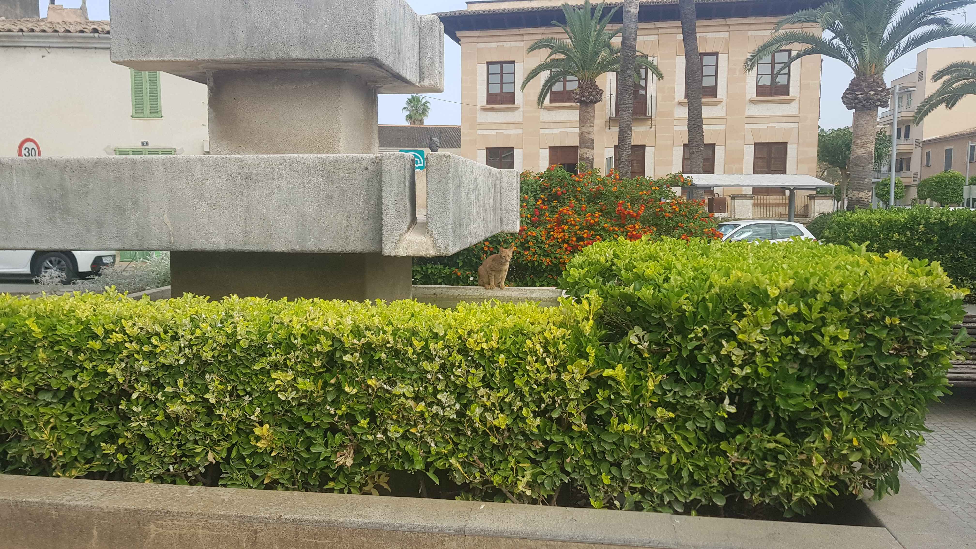 2022-Mallorca-Tag2 (3)