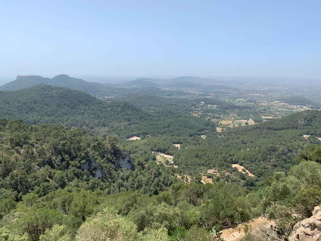 2022-Mallorca-Tag2 (39)