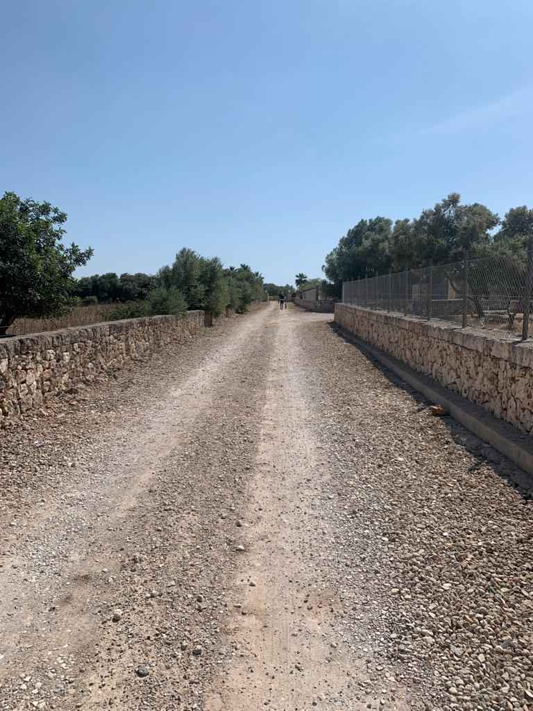 2022-Mallorca-Tag2 (46)