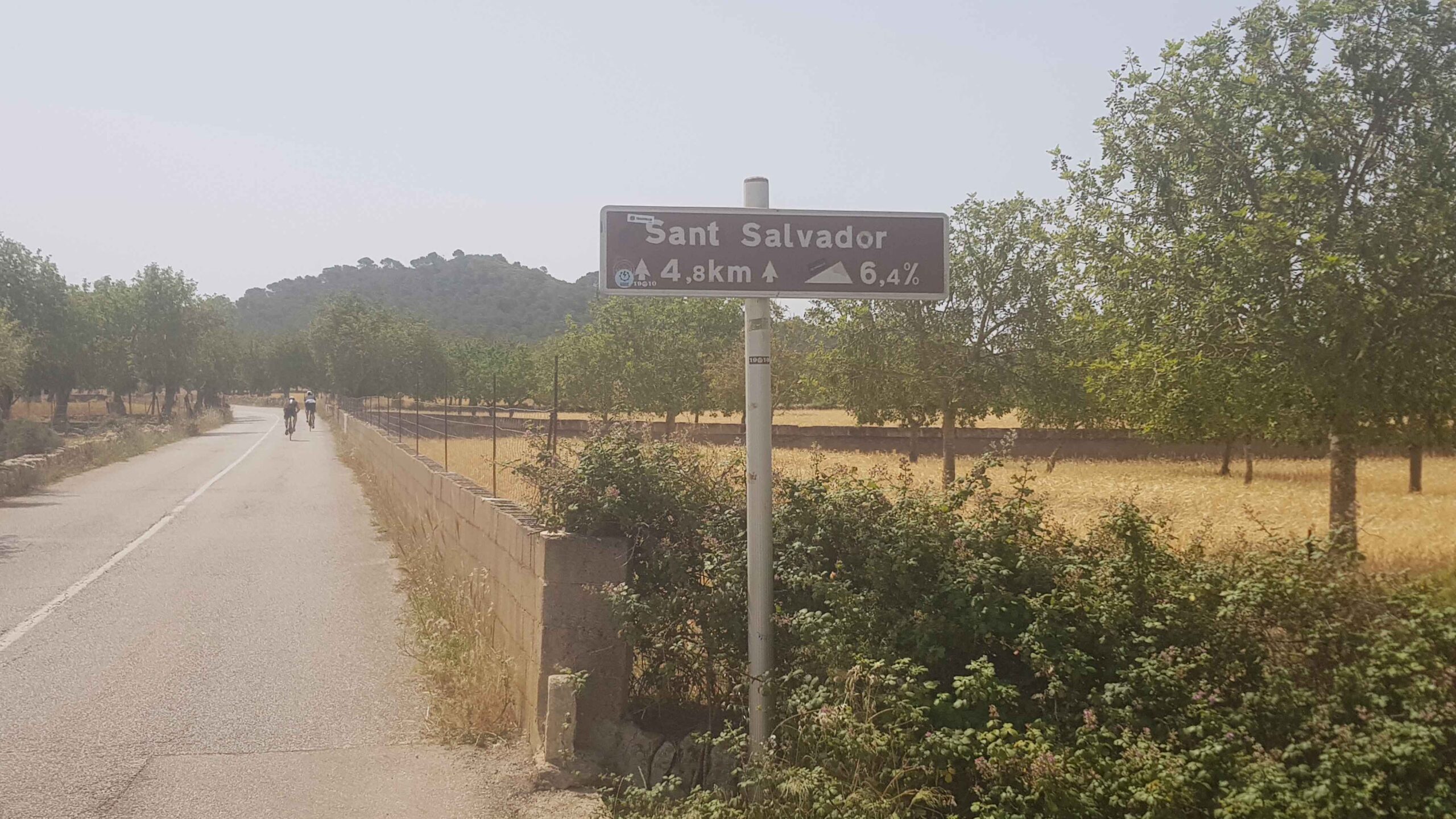 2022-Mallorca-Tag2 (7)