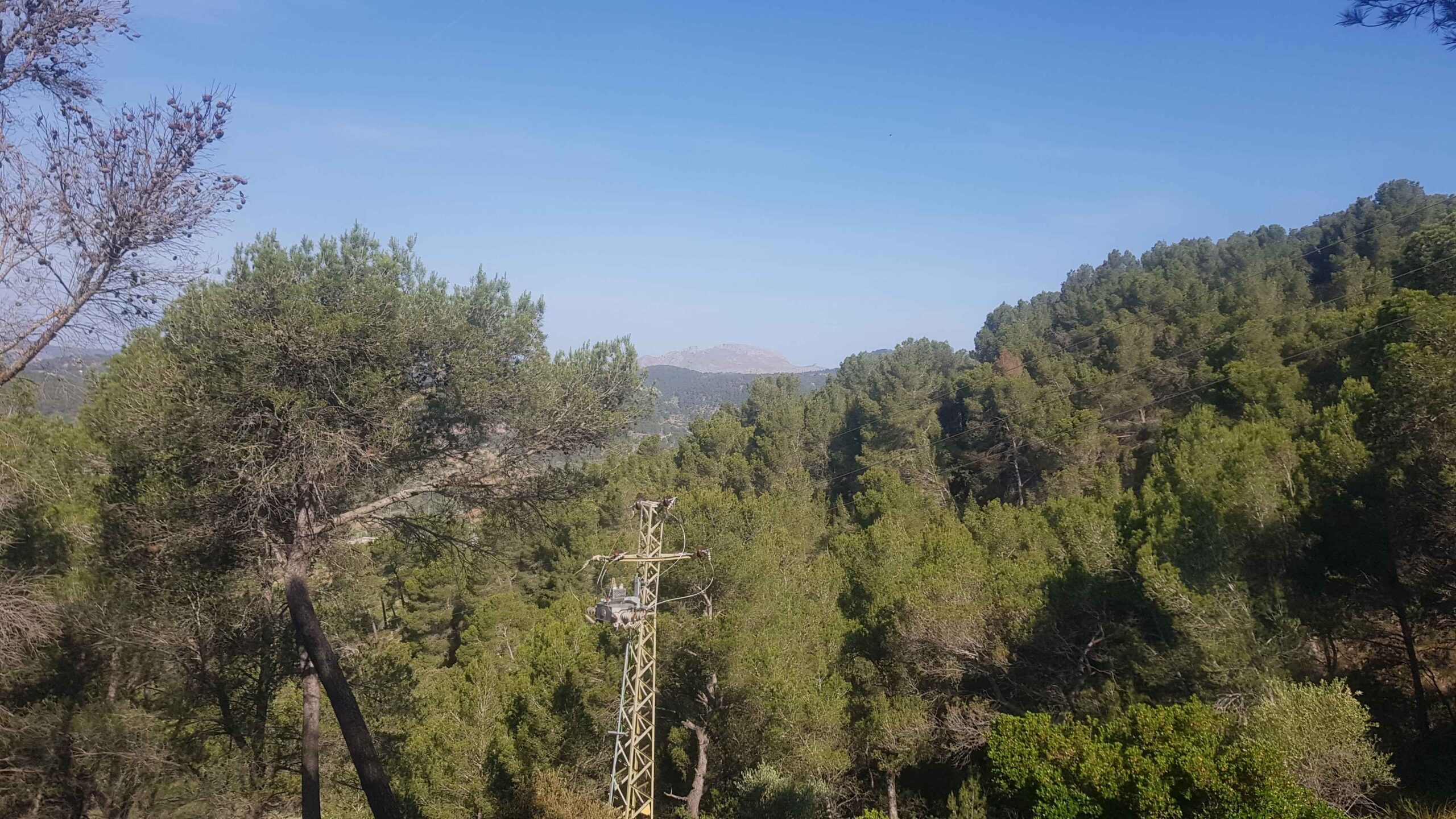 2022-Mallorca-Tag3 (13)