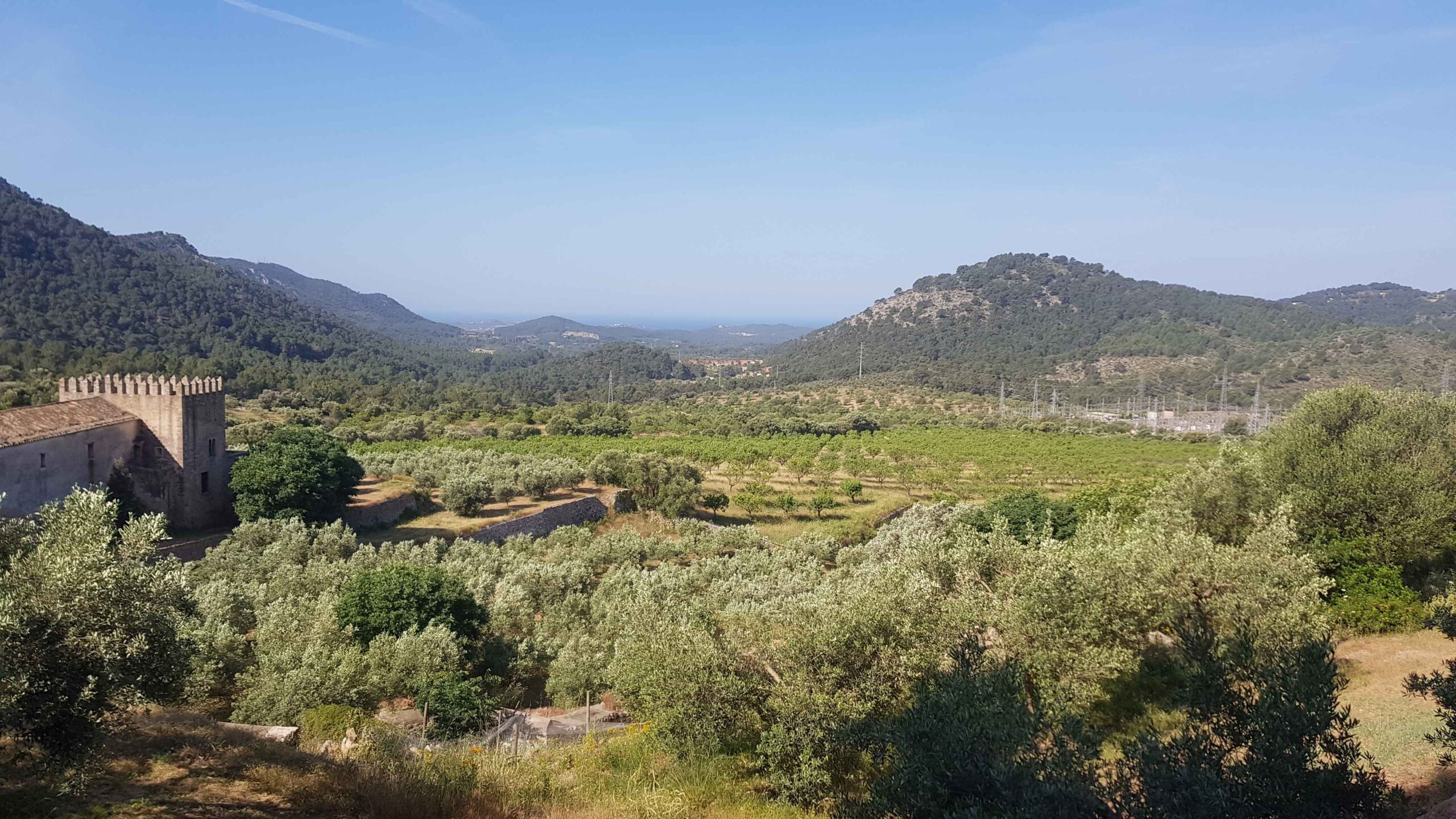 2022-Mallorca-Tag3 (15)