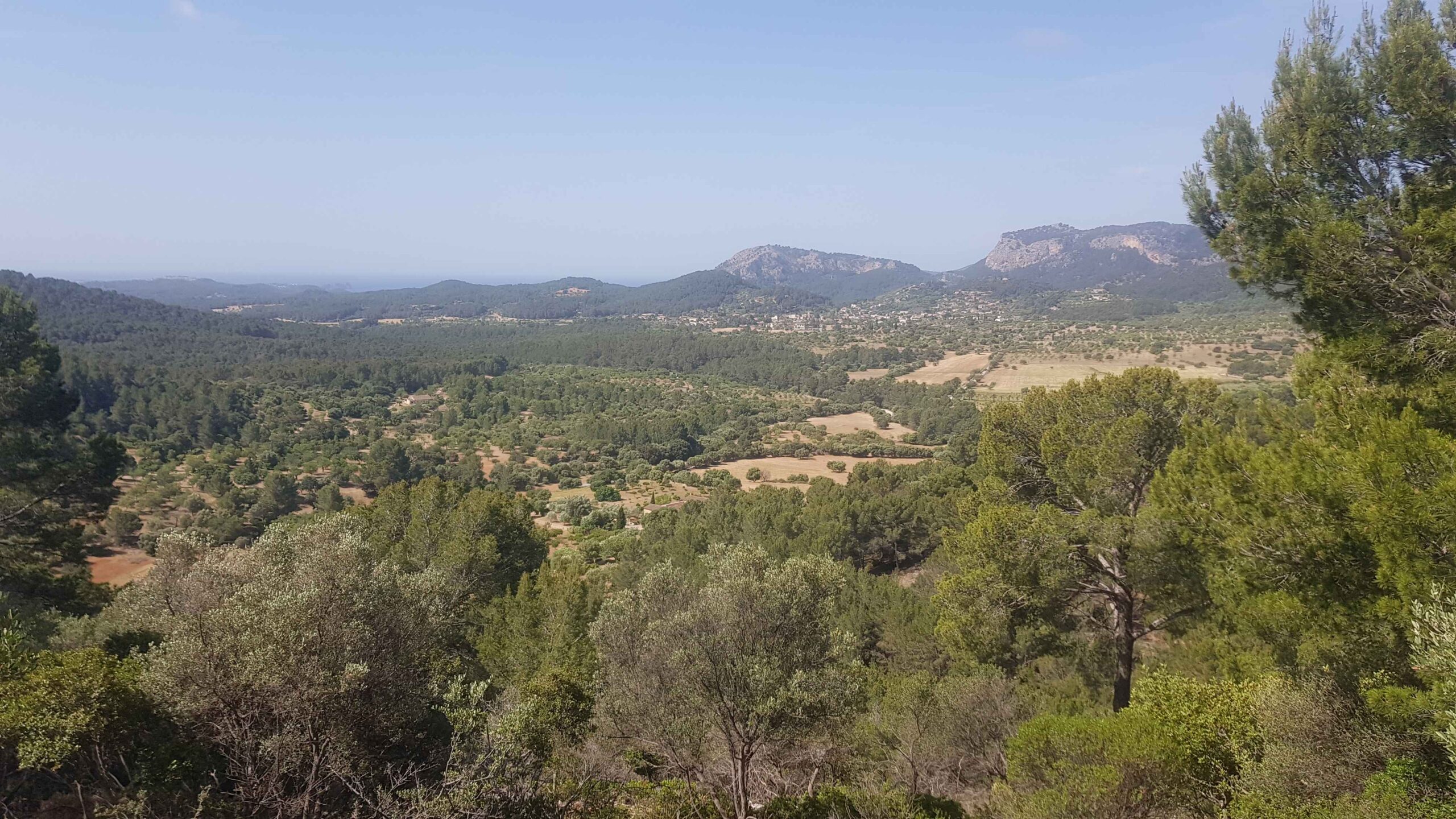 2022-Mallorca-Tag3 (21)