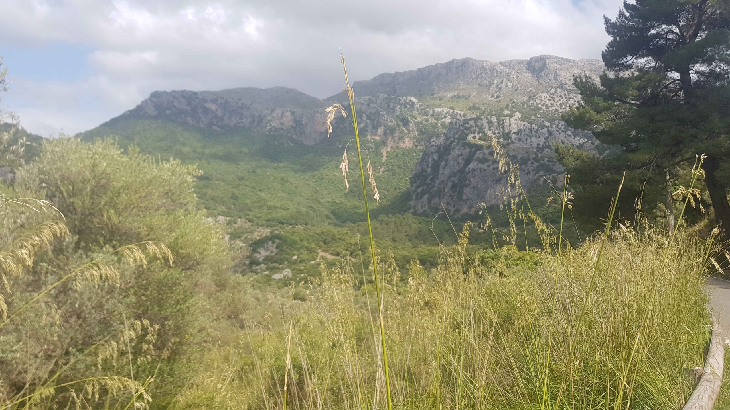 2022-Mallorca-Tag3 (42)