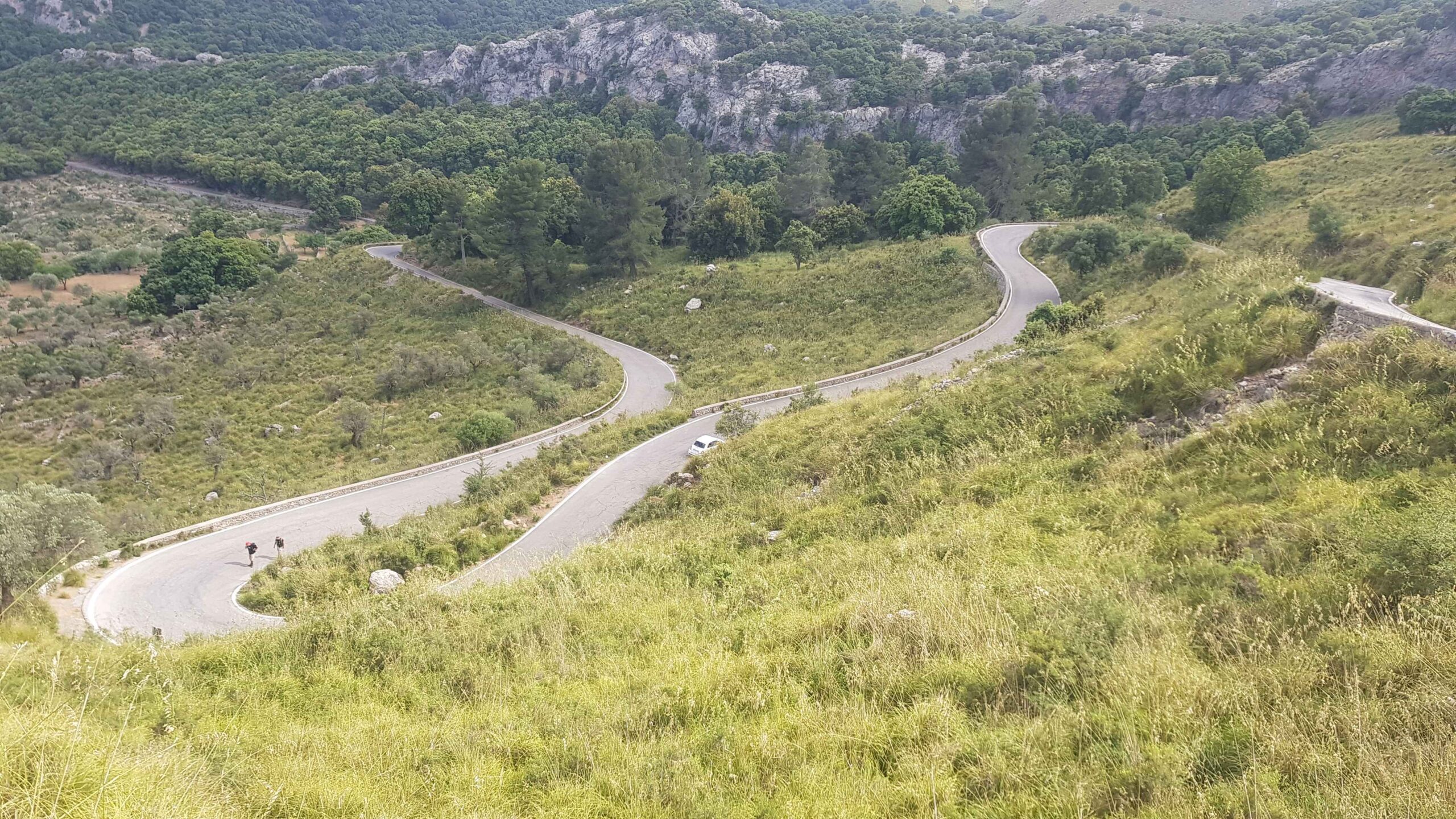 2022-Mallorca-Tag3 (44)