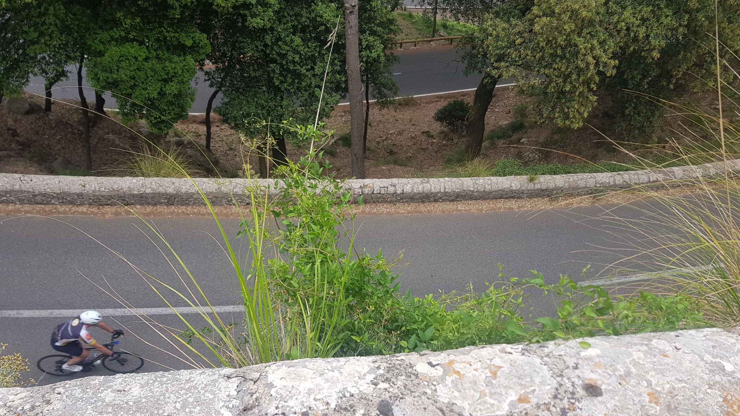 2022-Mallorca-Tag3 (45)