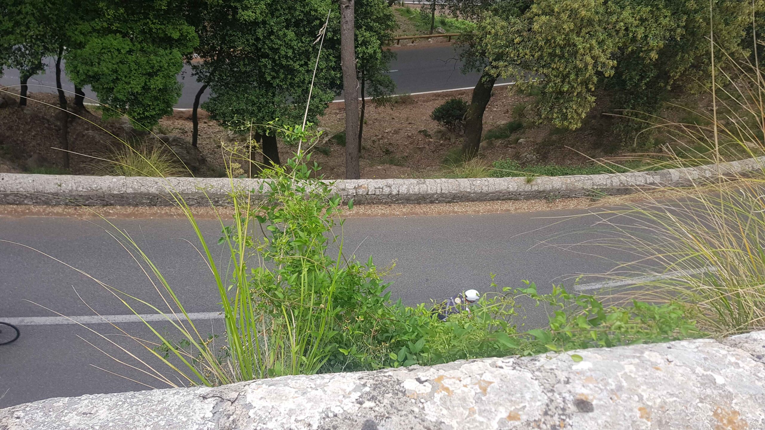 2022-Mallorca-Tag3 (46)