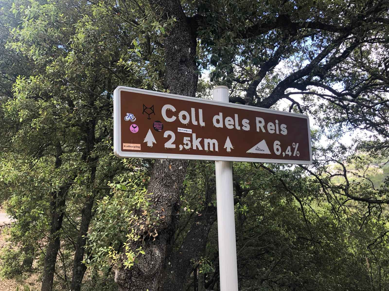 2022-Mallorca-Tag3 (59)