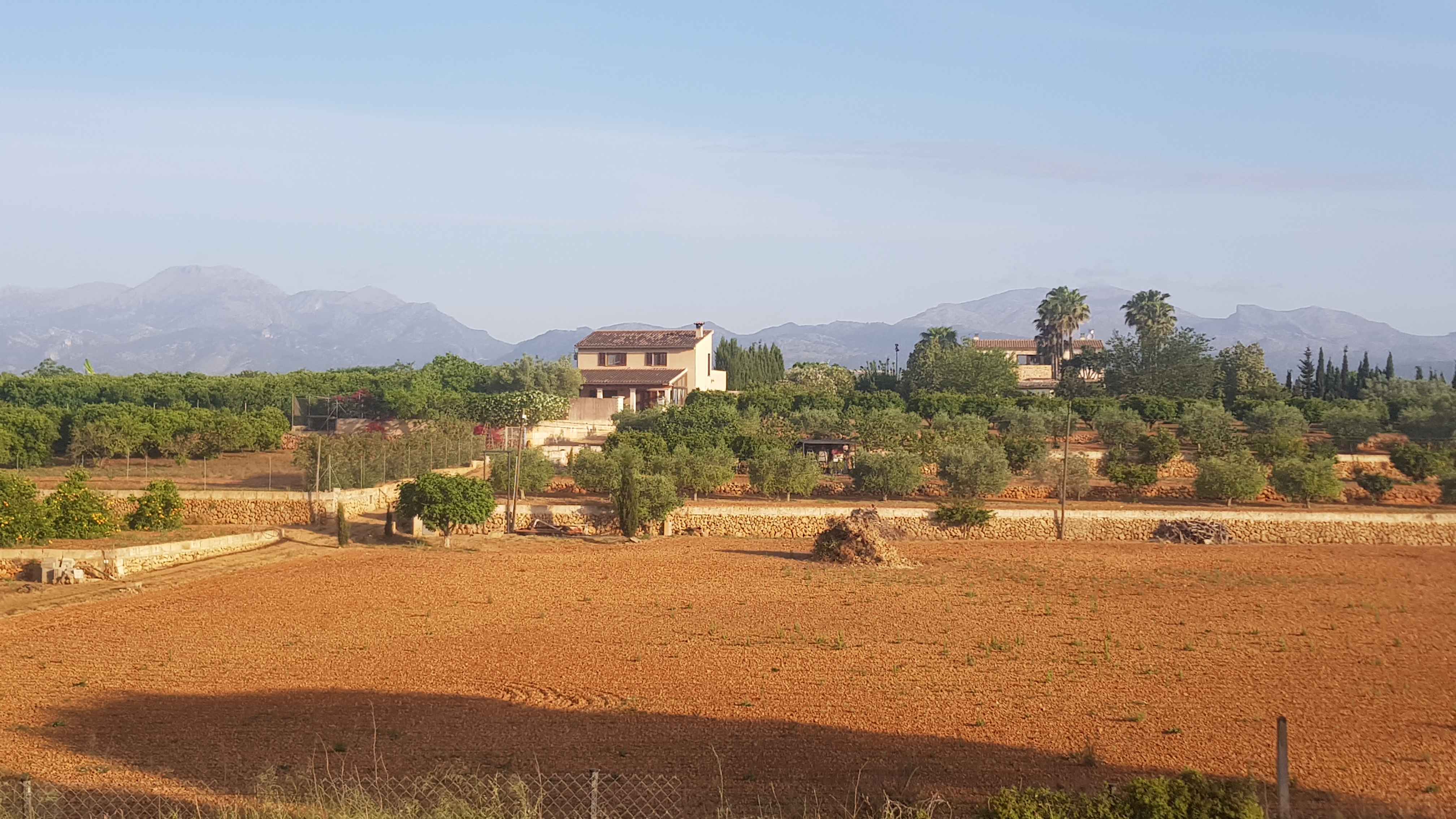 2022-Mallorca-Tag3 (6)