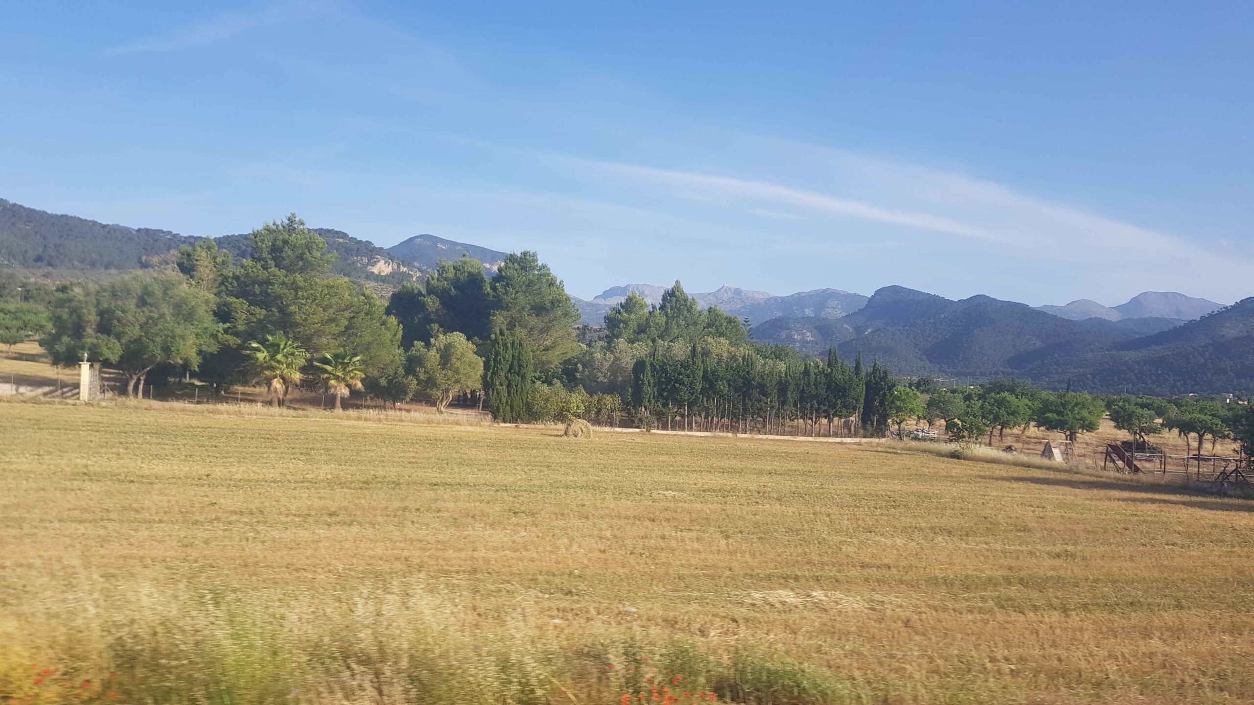 2022-Mallorca-Tag3 (8)