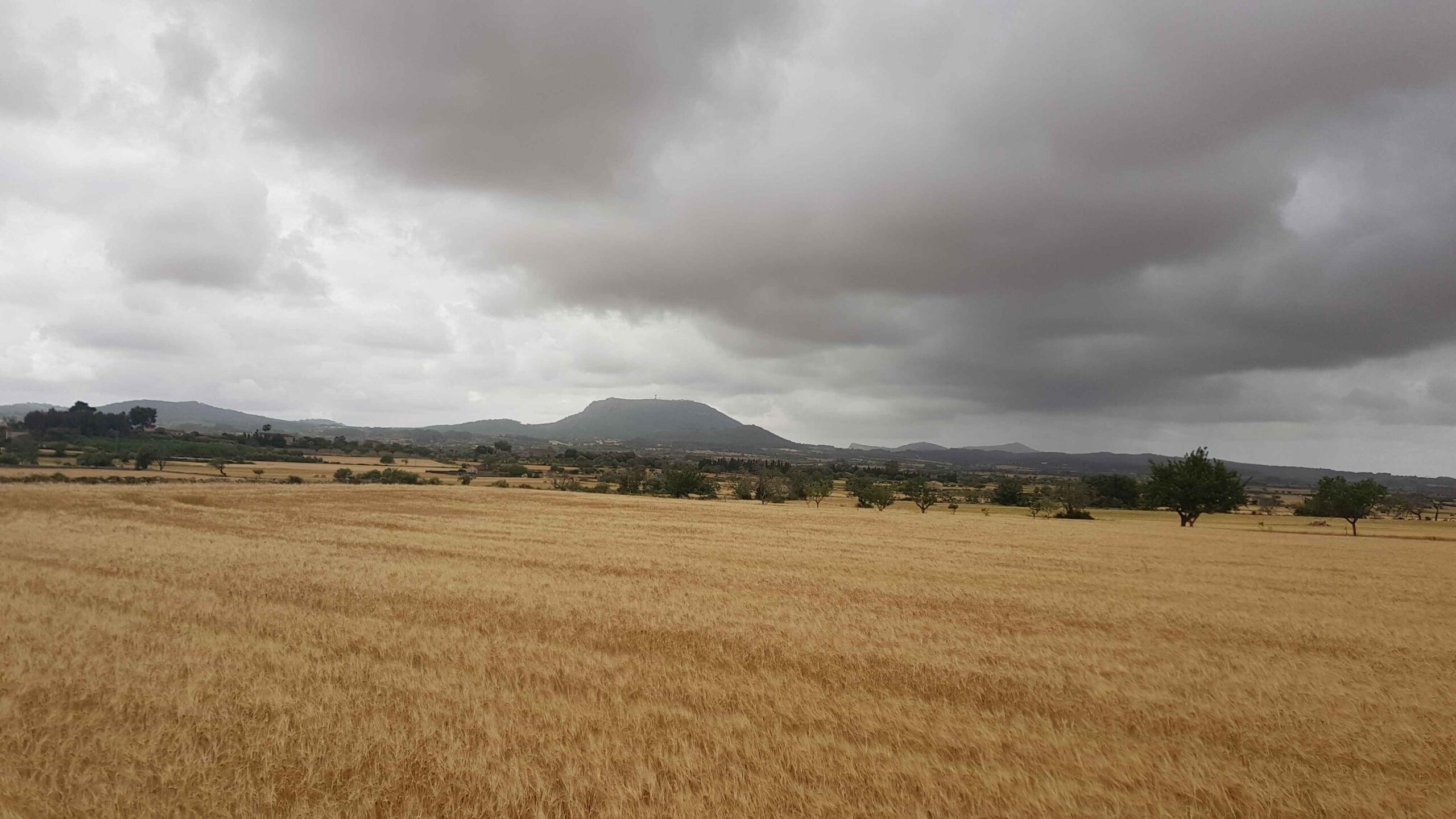 2022-Mallorca-Tag4 (28)