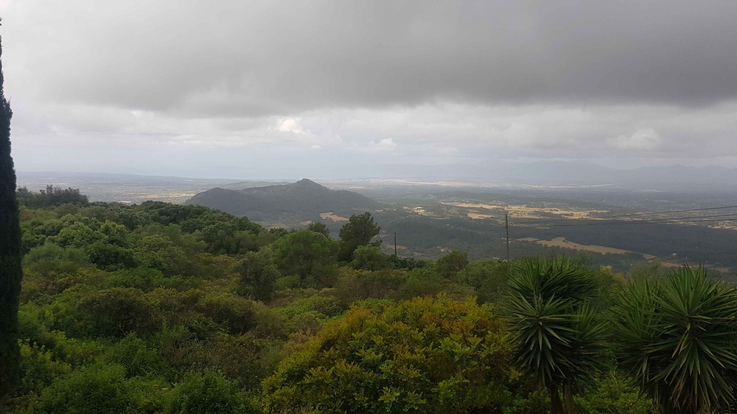 2022-Mallorca-Tag4 (31)