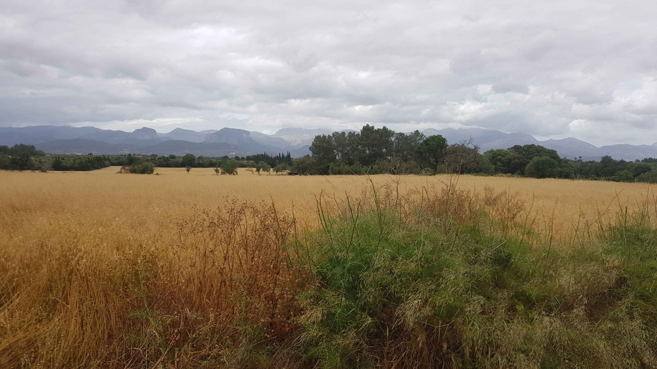 2022-Mallorca-Tag4 (34)