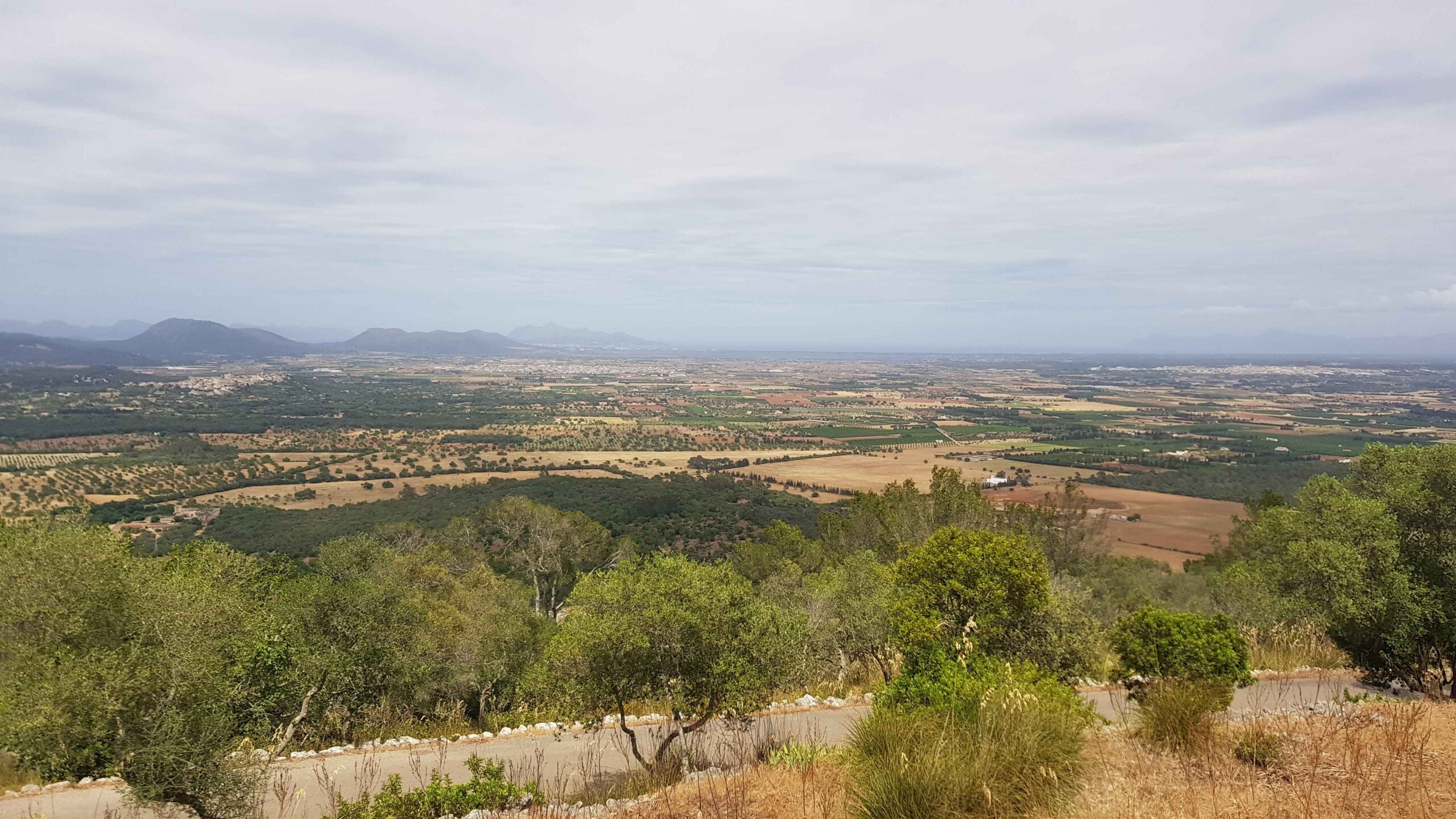 2022-Mallorca-Tag4 (36)